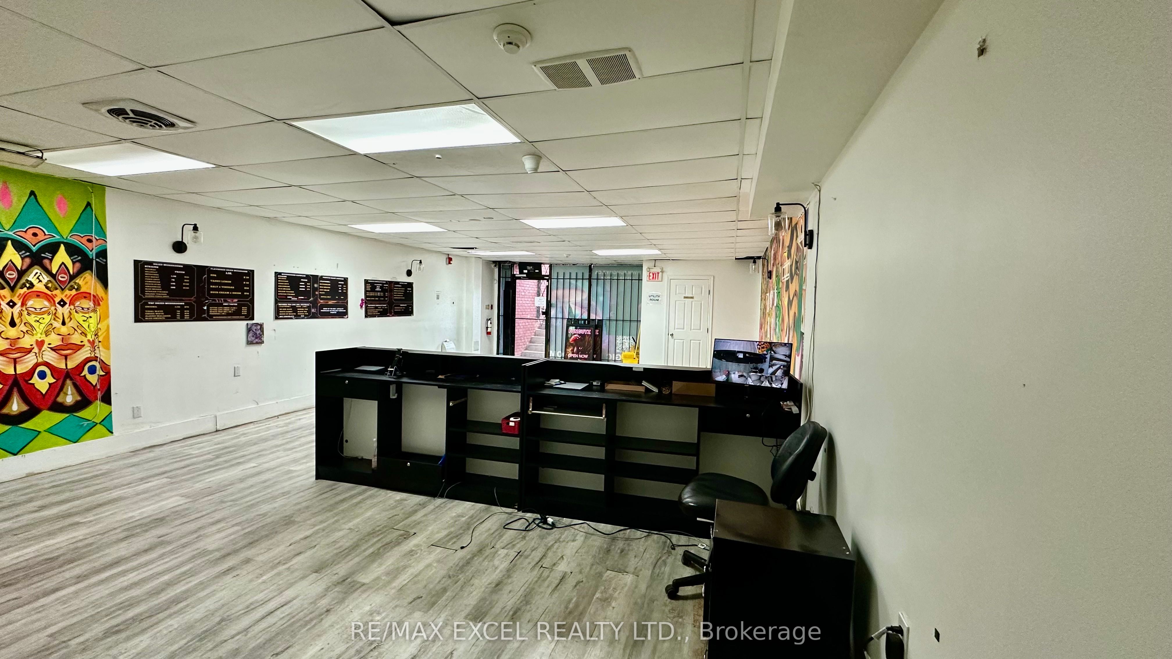 #lower - 357 Spadina Avenue Property Photo 5