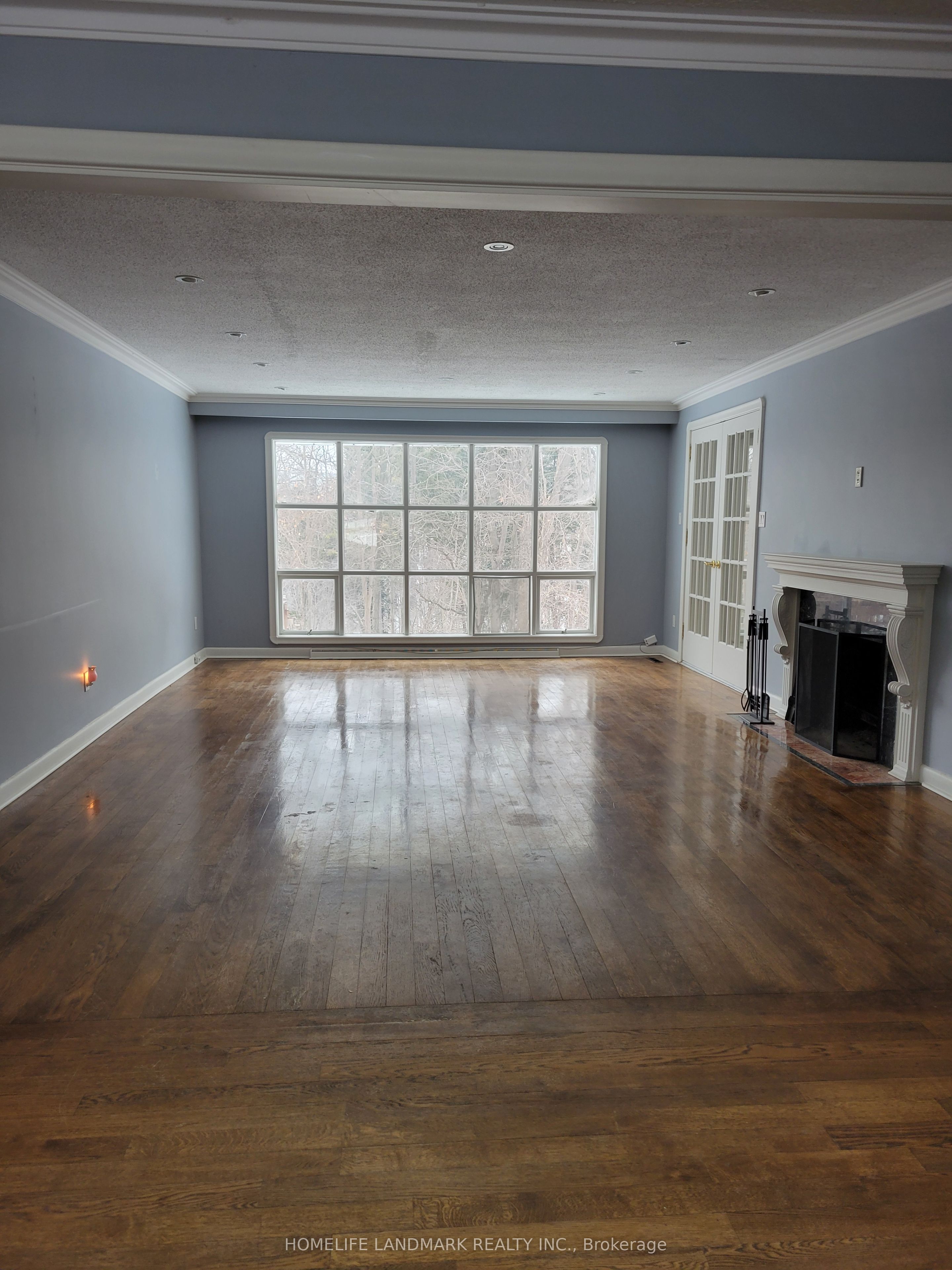 42 Saintfield Avenue Property Photo 10