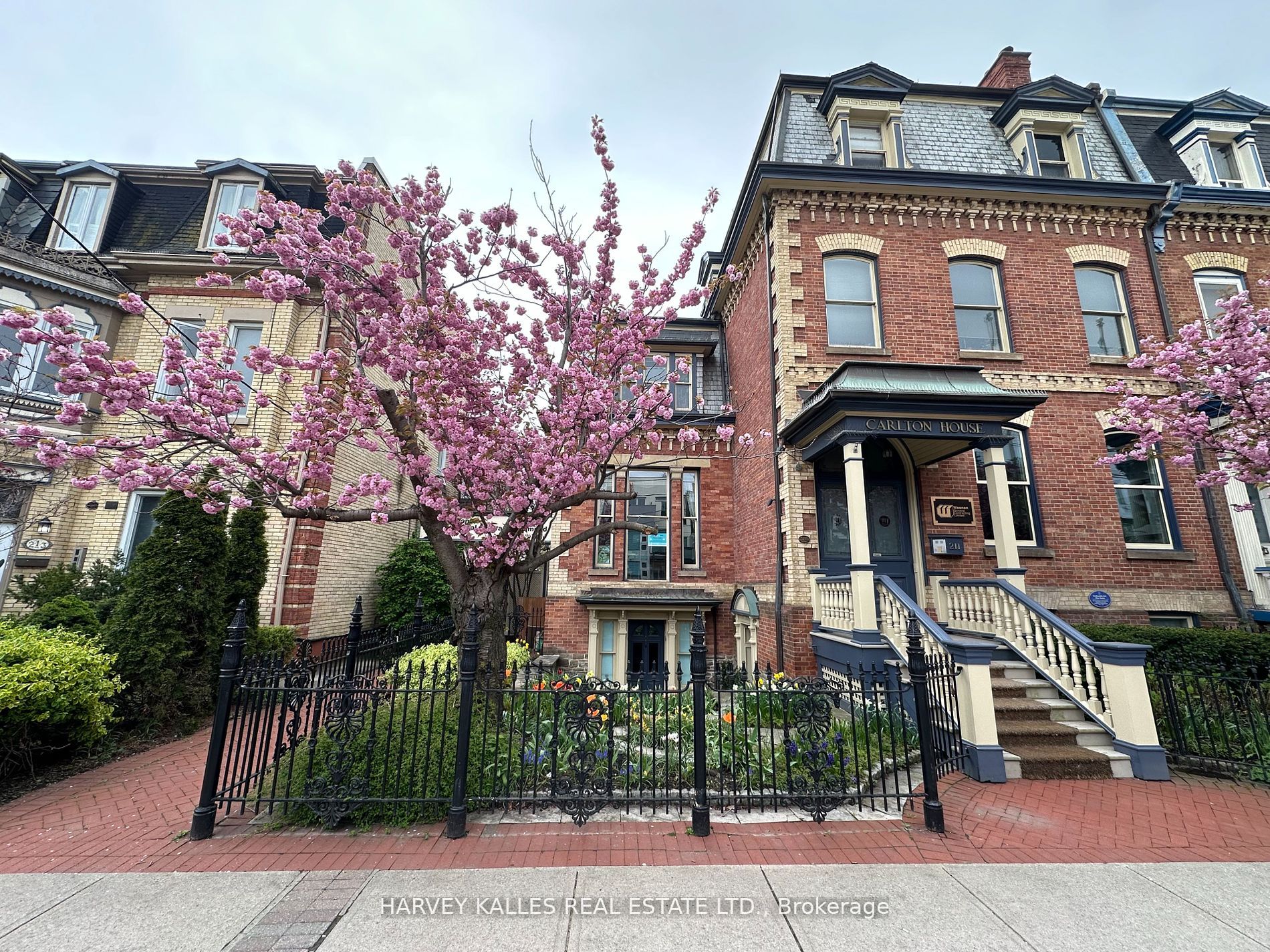 #Lower - 211 Carlton Street Property Photo 1
