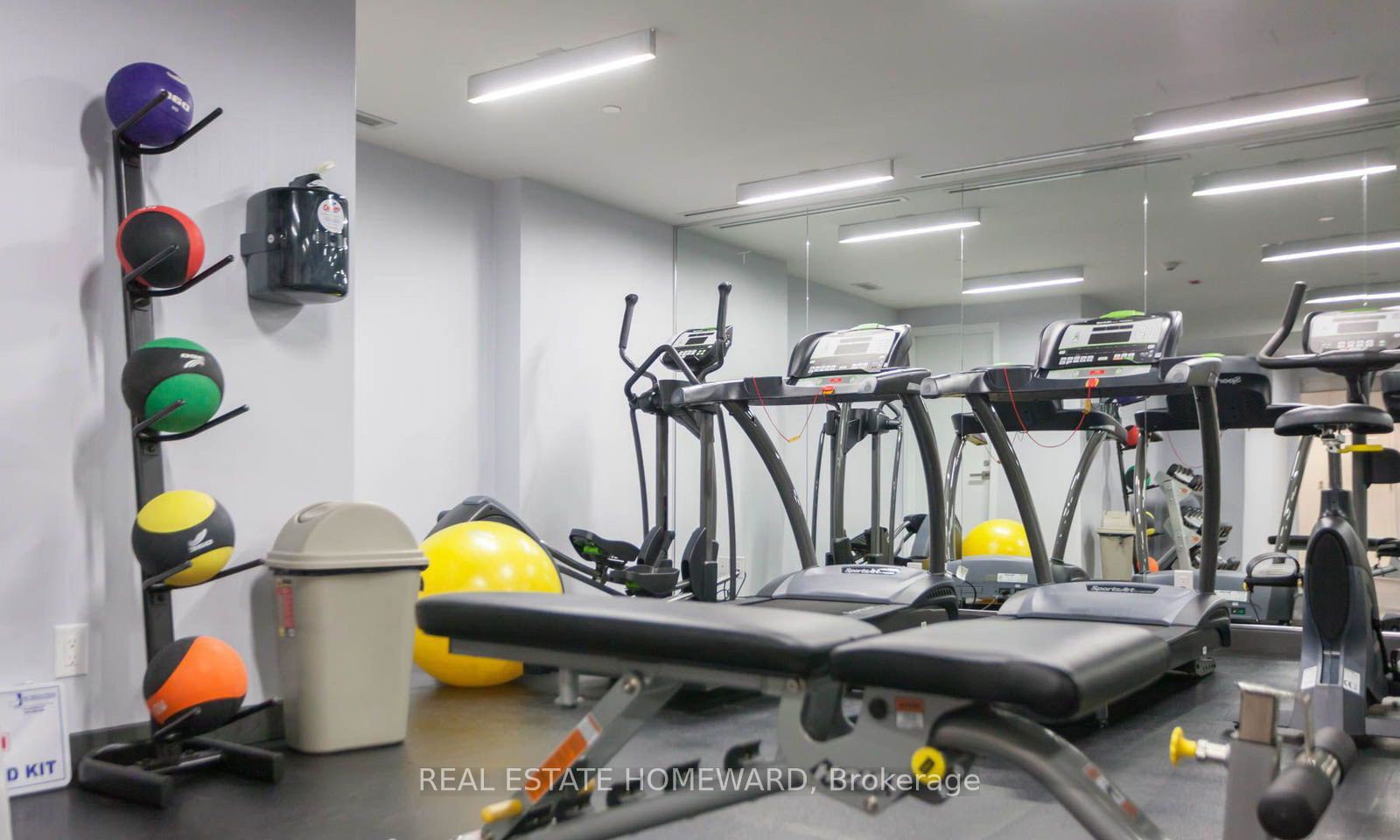 #409 - 15 Beverley Street Property Photo 24