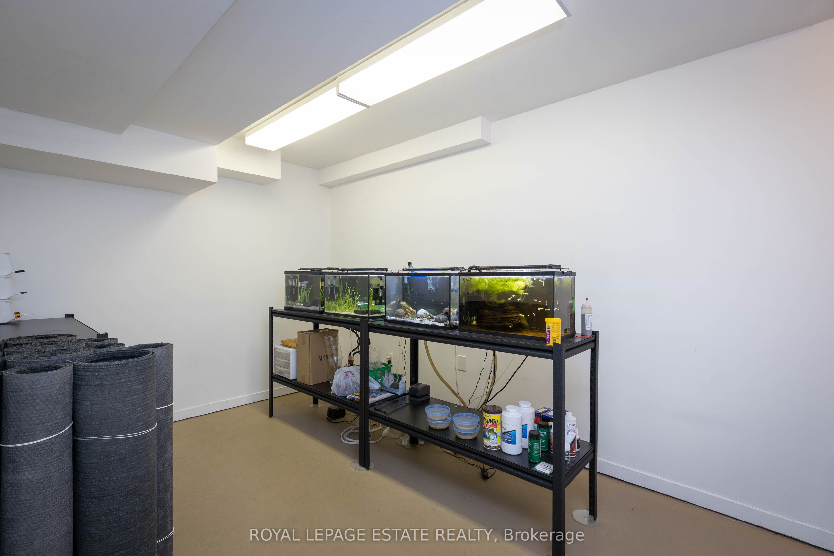 432/434 Queen Street Property Photo 27