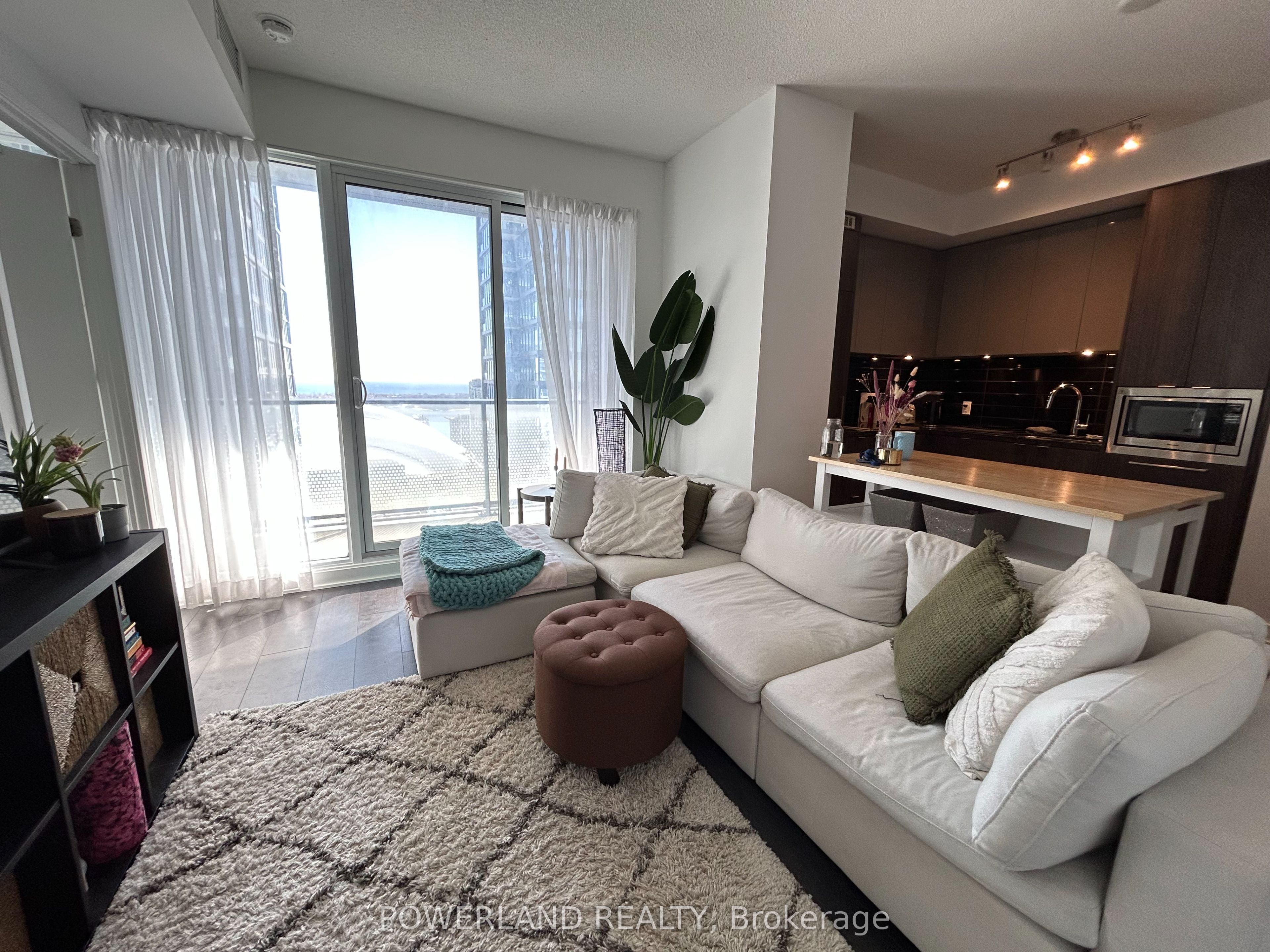 #4011 - 125 Blue Jays Way Property Photo 2