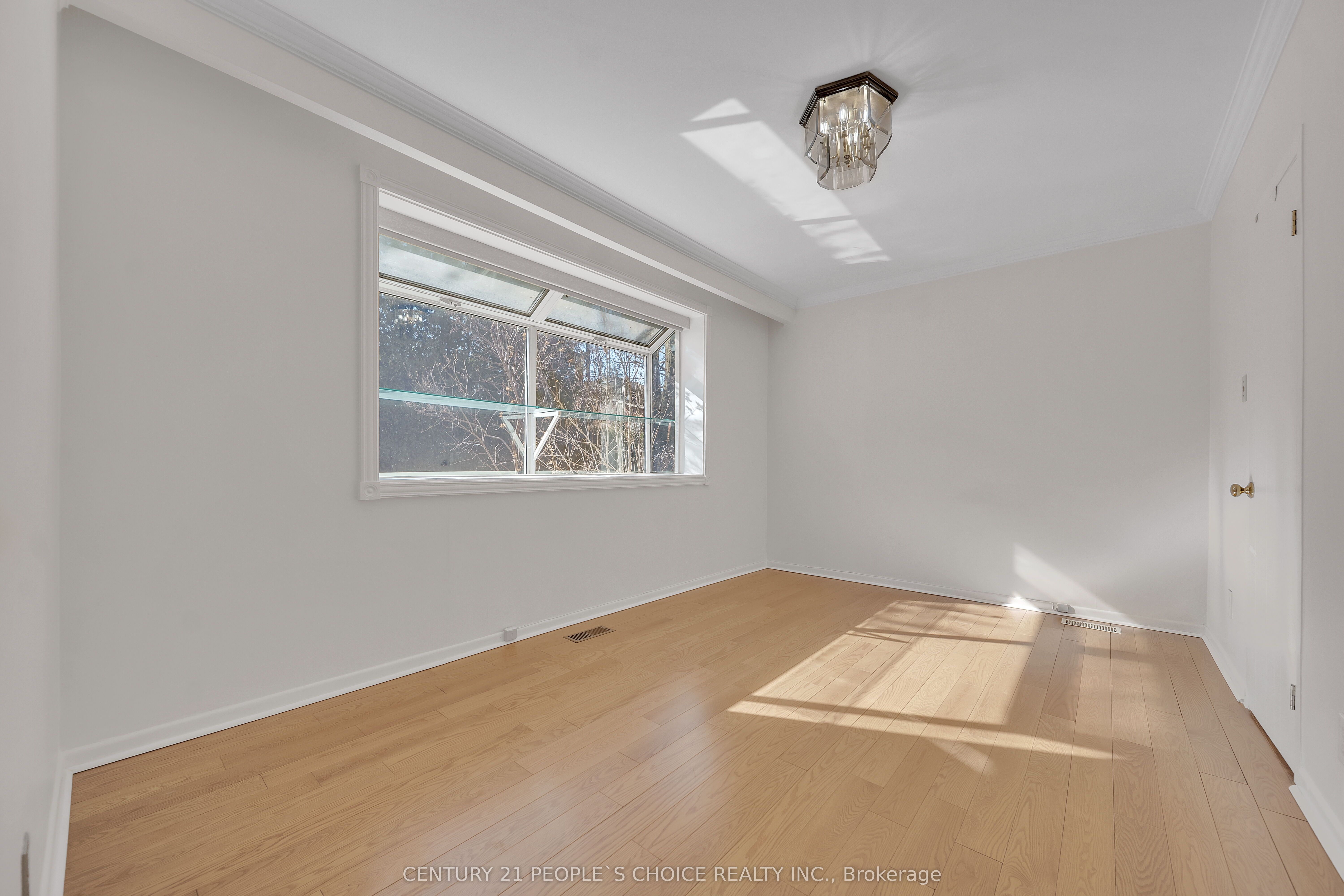 26 Paultiel Drive Property Photo 23
