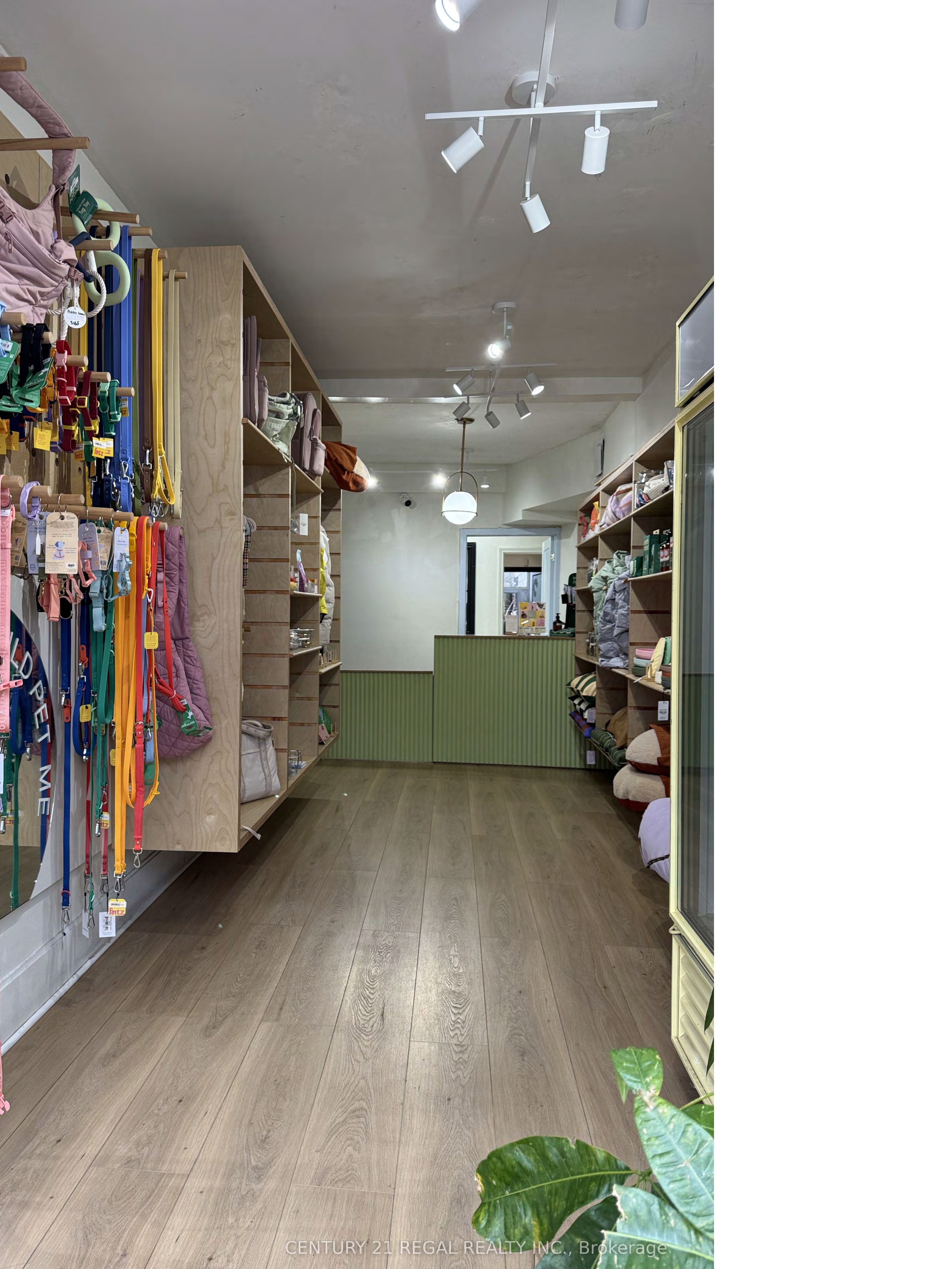 801 Dundas Street Property Photo 1