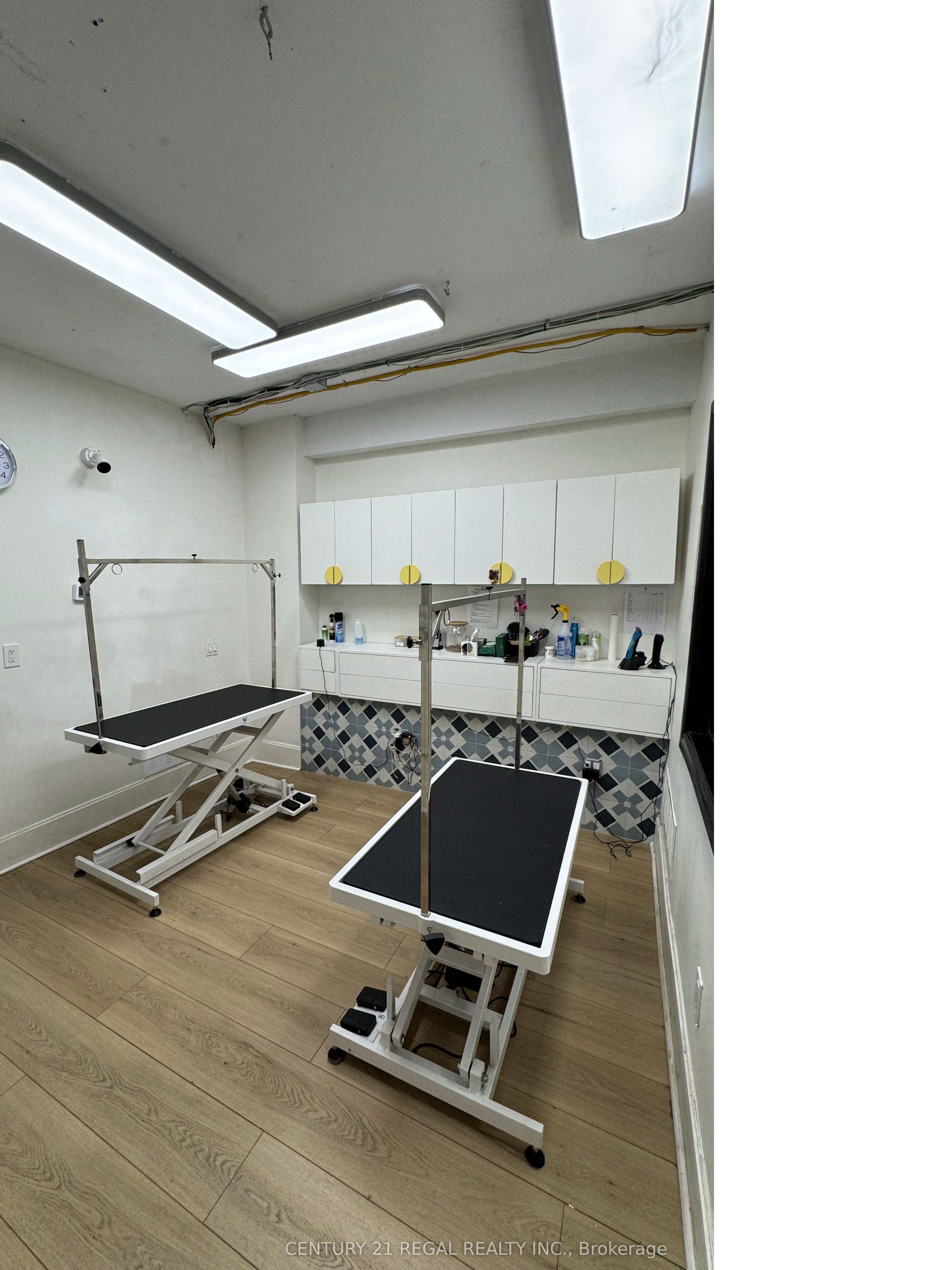 801 Dundas Street Property Photo 13