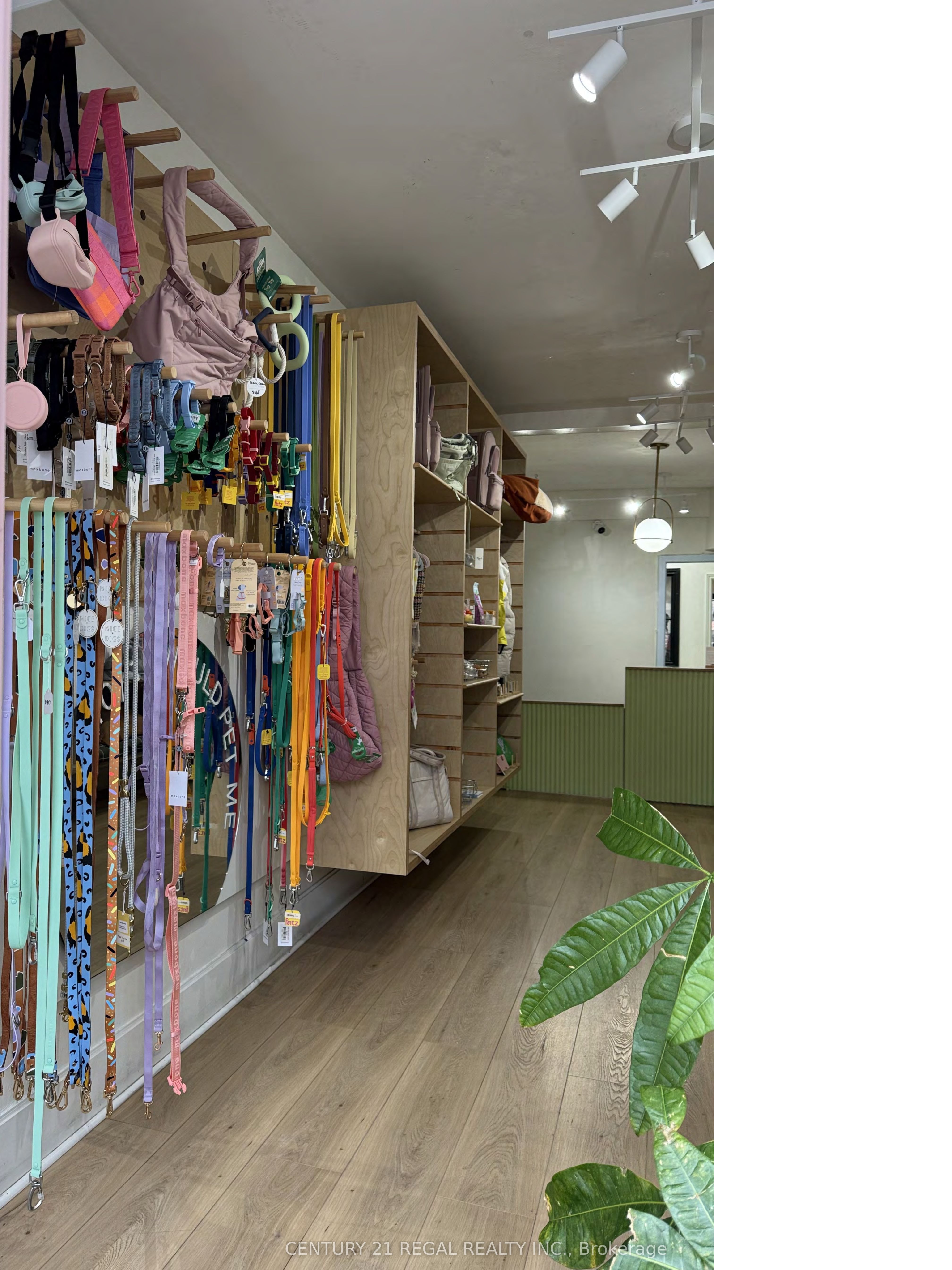 801 Dundas Street Property Photo 4