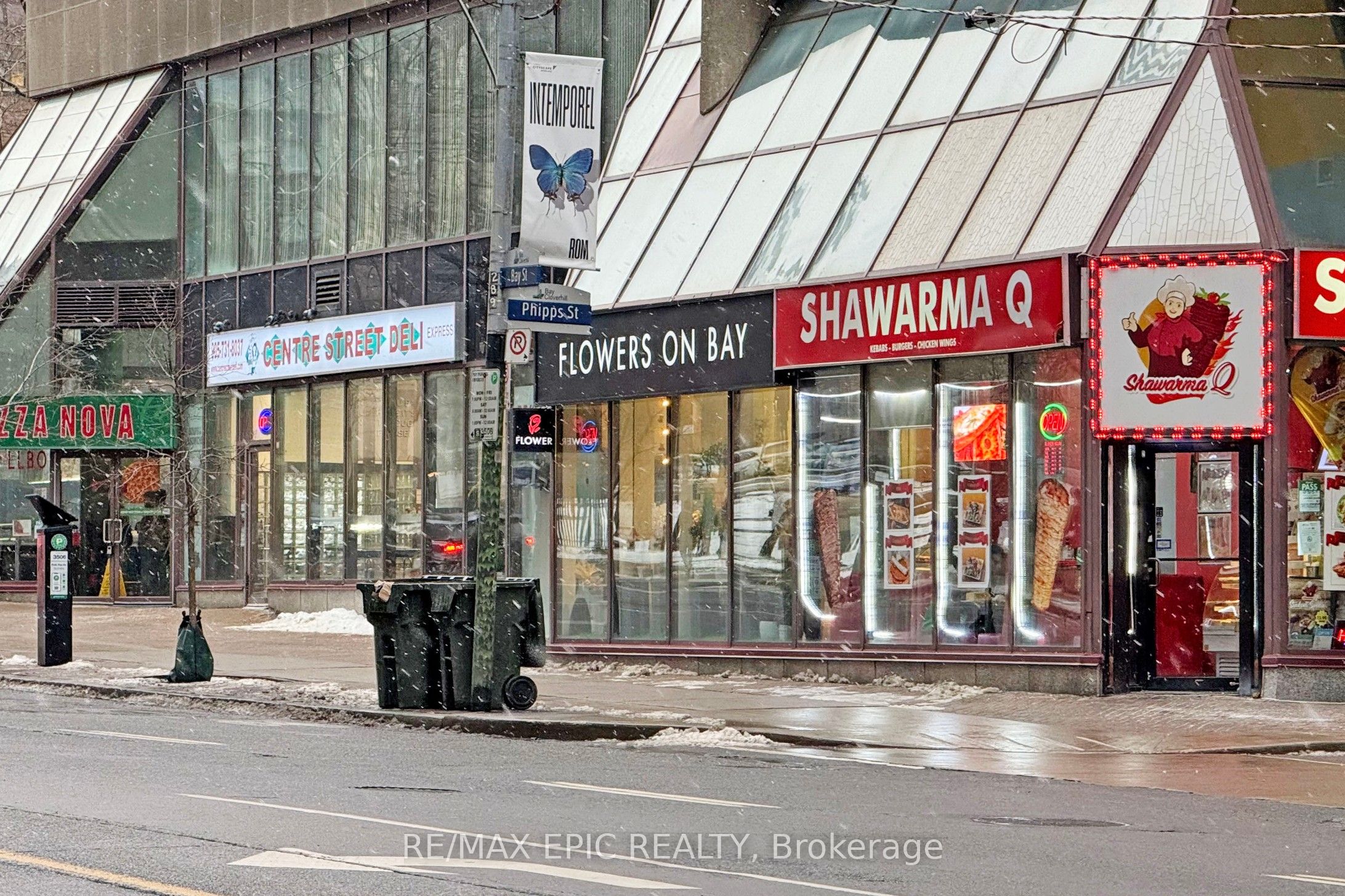 #409 - 955 Bay Street Property Photo 49