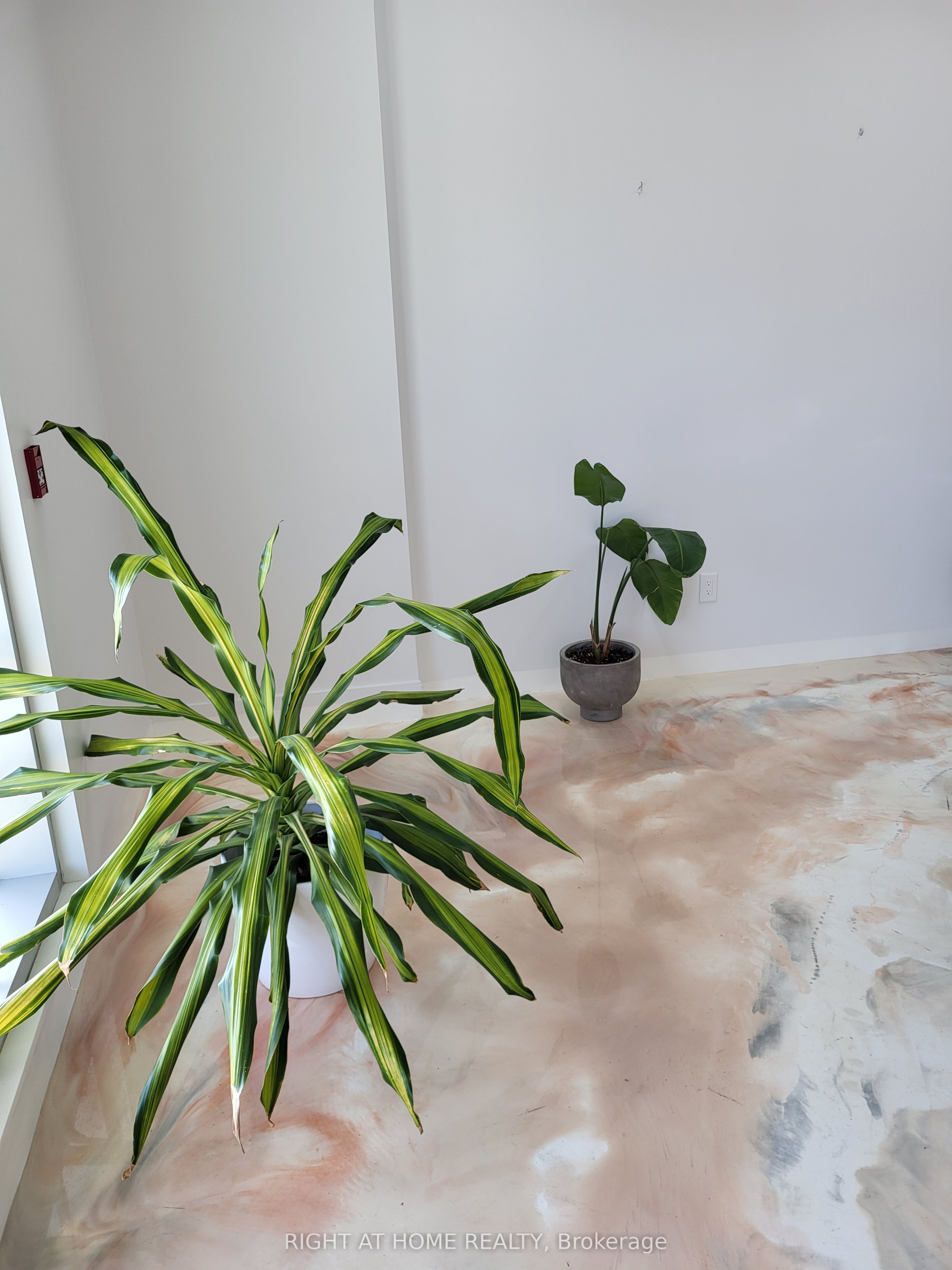 #116 - 52 Scarsdale Road Property Photo 3