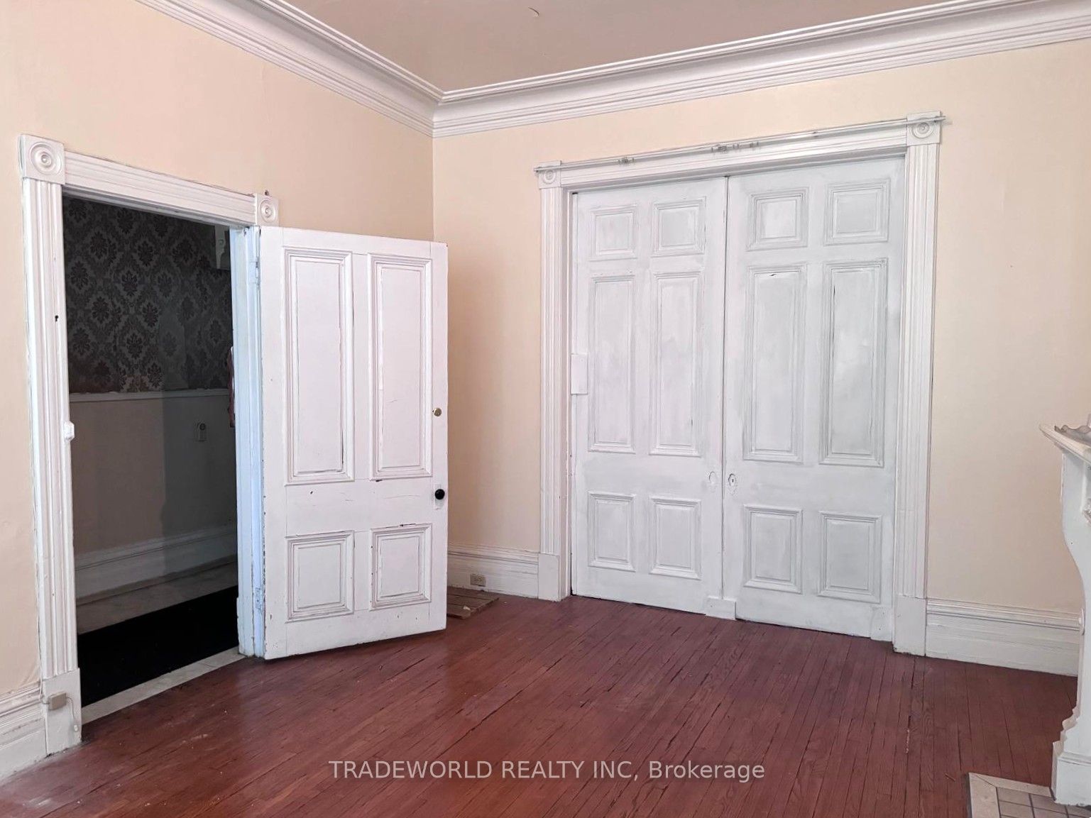 #room #5 - 59 Cecil Street Property Photo 3