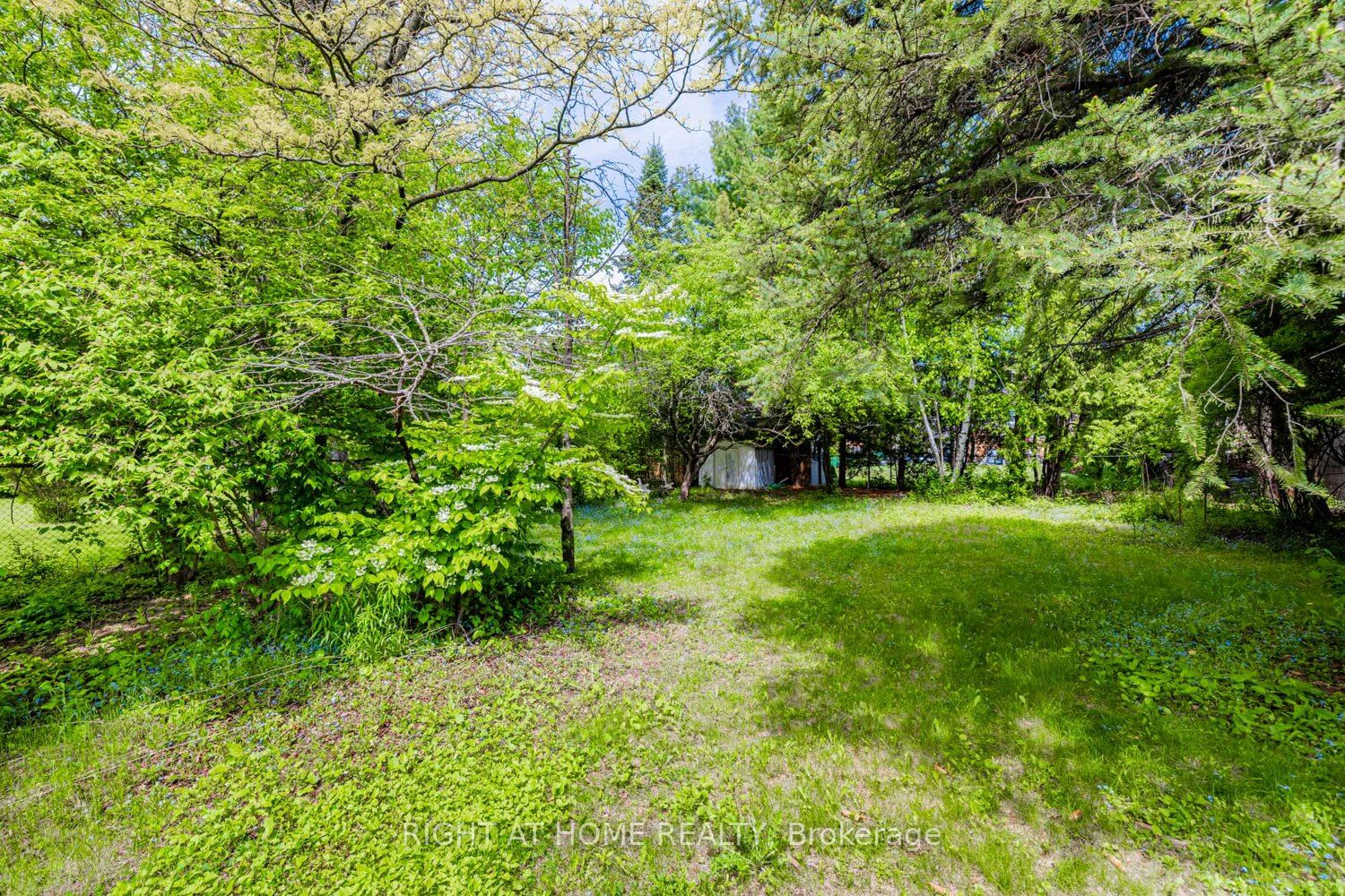 144 Wedgewood Drive Property Photo 29