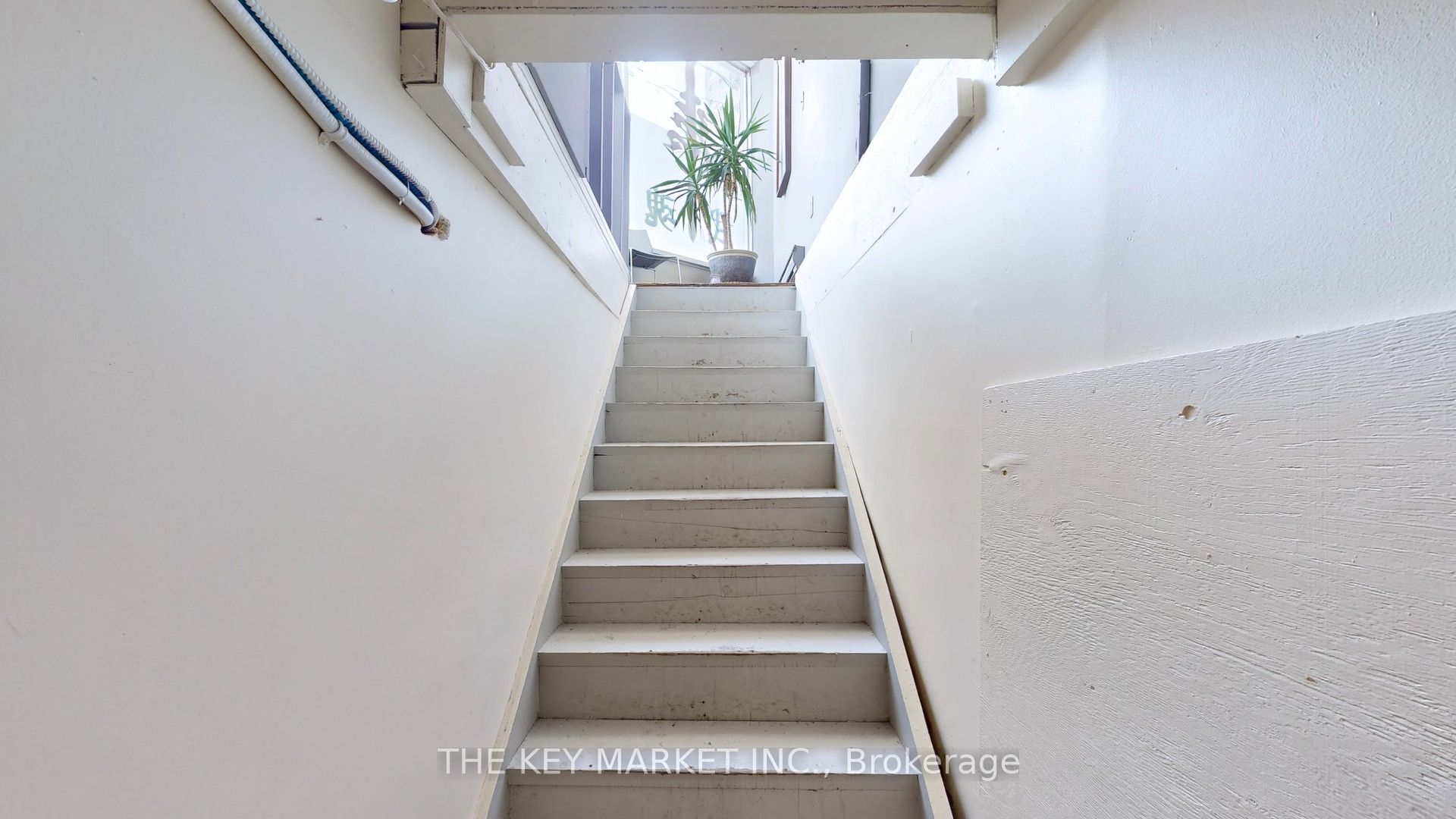 44 Vaughan Road Property Photo 23