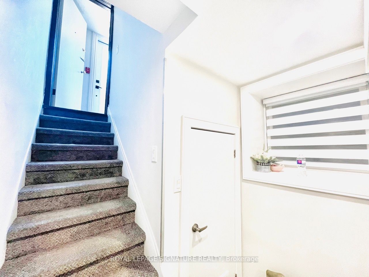 24 College View Avenue Property Photo 33