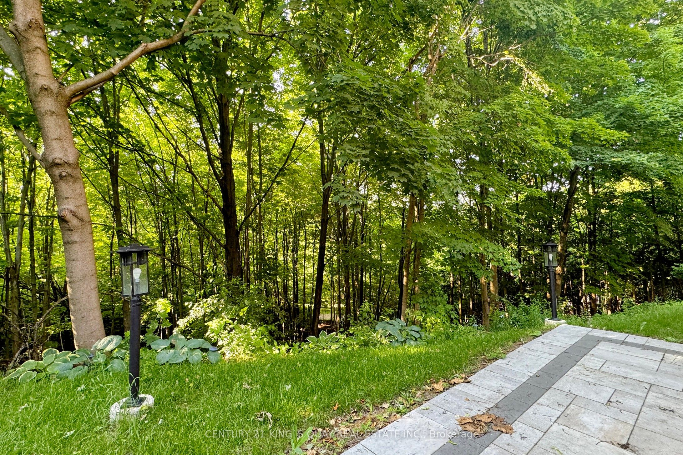 22 Coreydale Court Property Photo 50