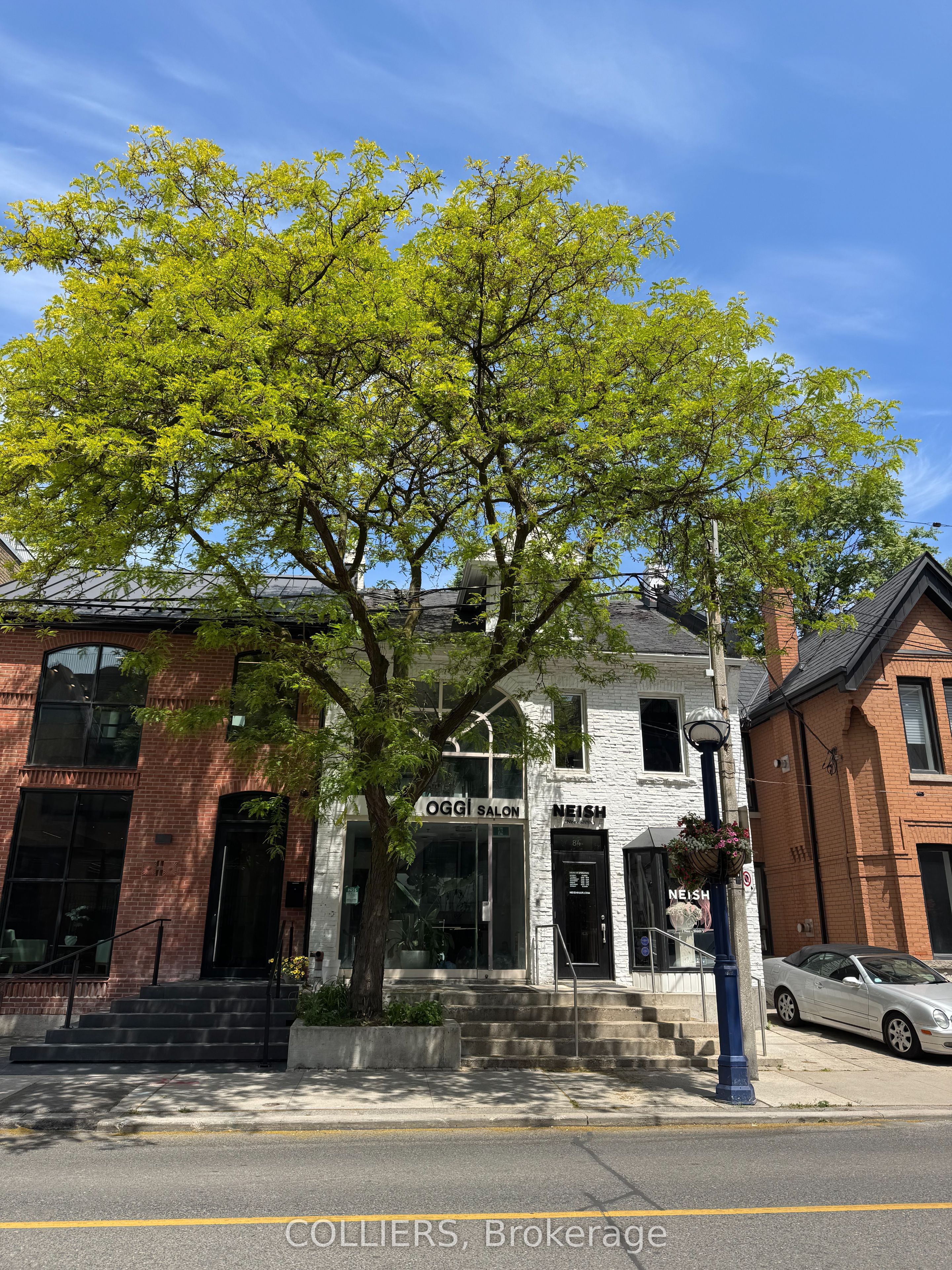 84a Scollard Street Property Photo 2