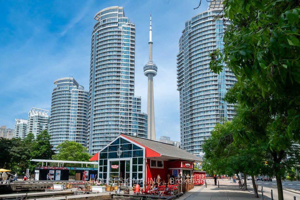#2003 - 77 Harbour Square Property Photo 1
