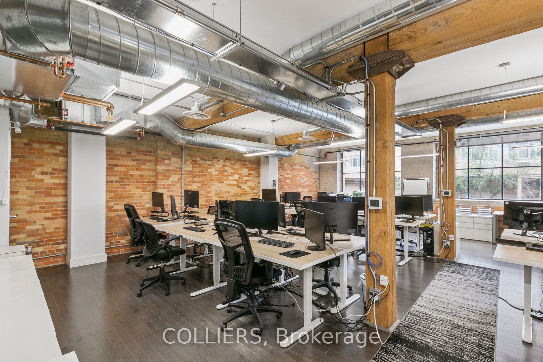 35 Mccaul Street 201 Property Photo 6
