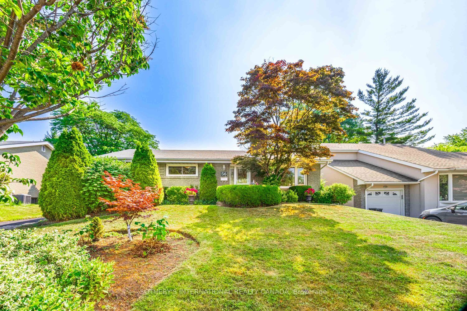 56 Ternhill Crescent Property Photo 1