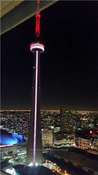 12 York Street 3108 Property Photo 2