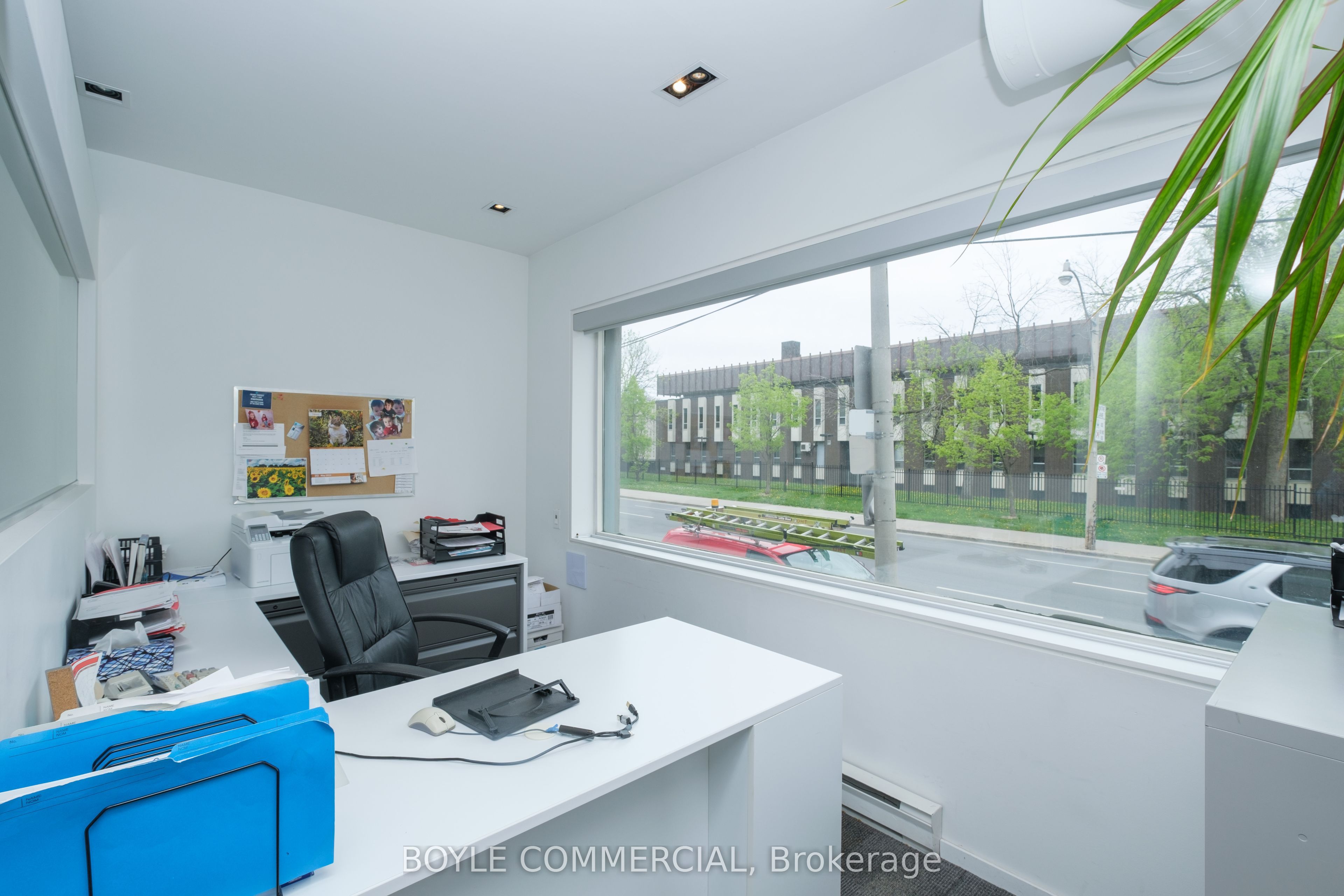 132 Jarvis Street Property Photo 25