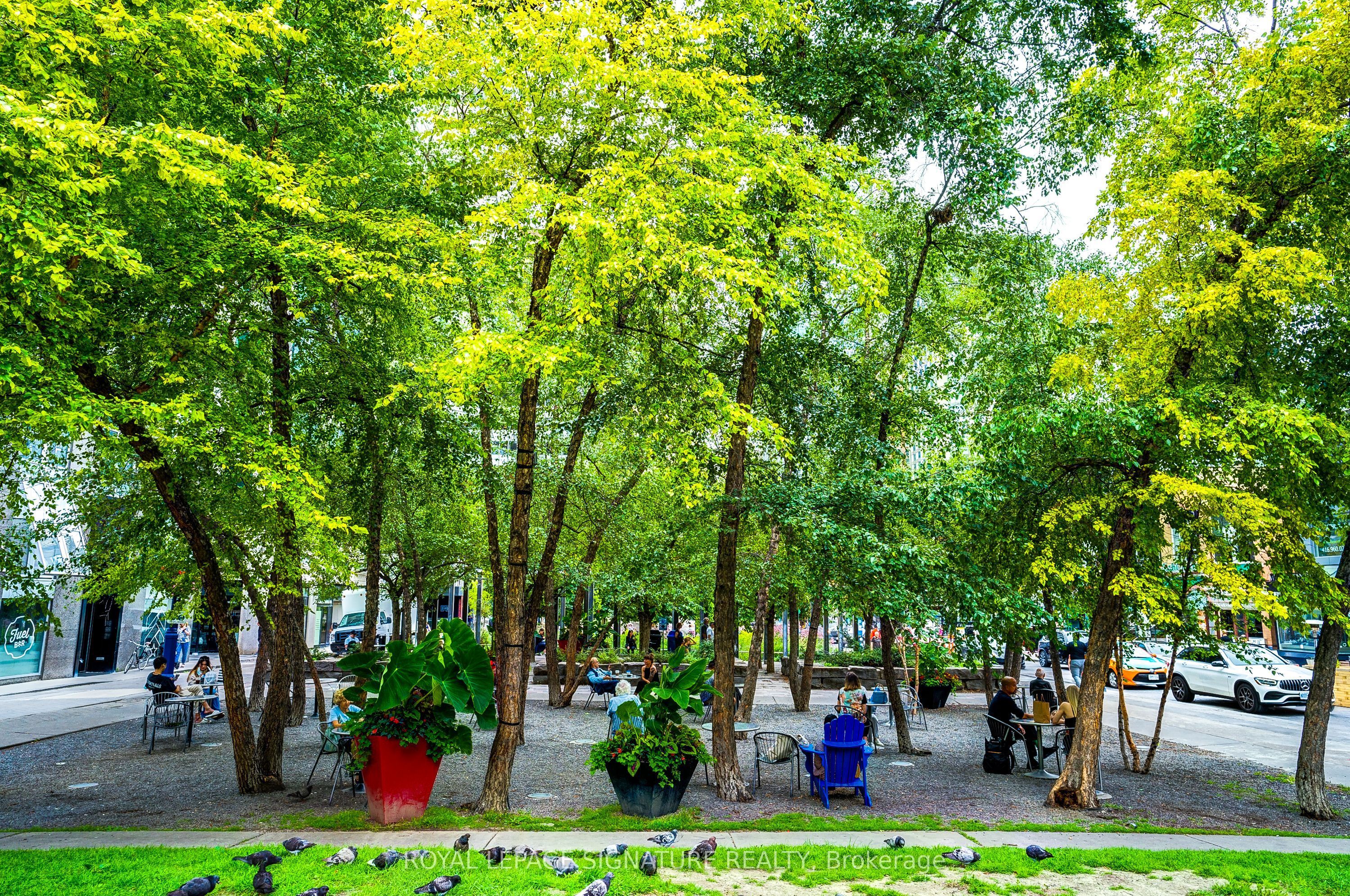 155 Yorkville Avenue 1218 Property Photo 30