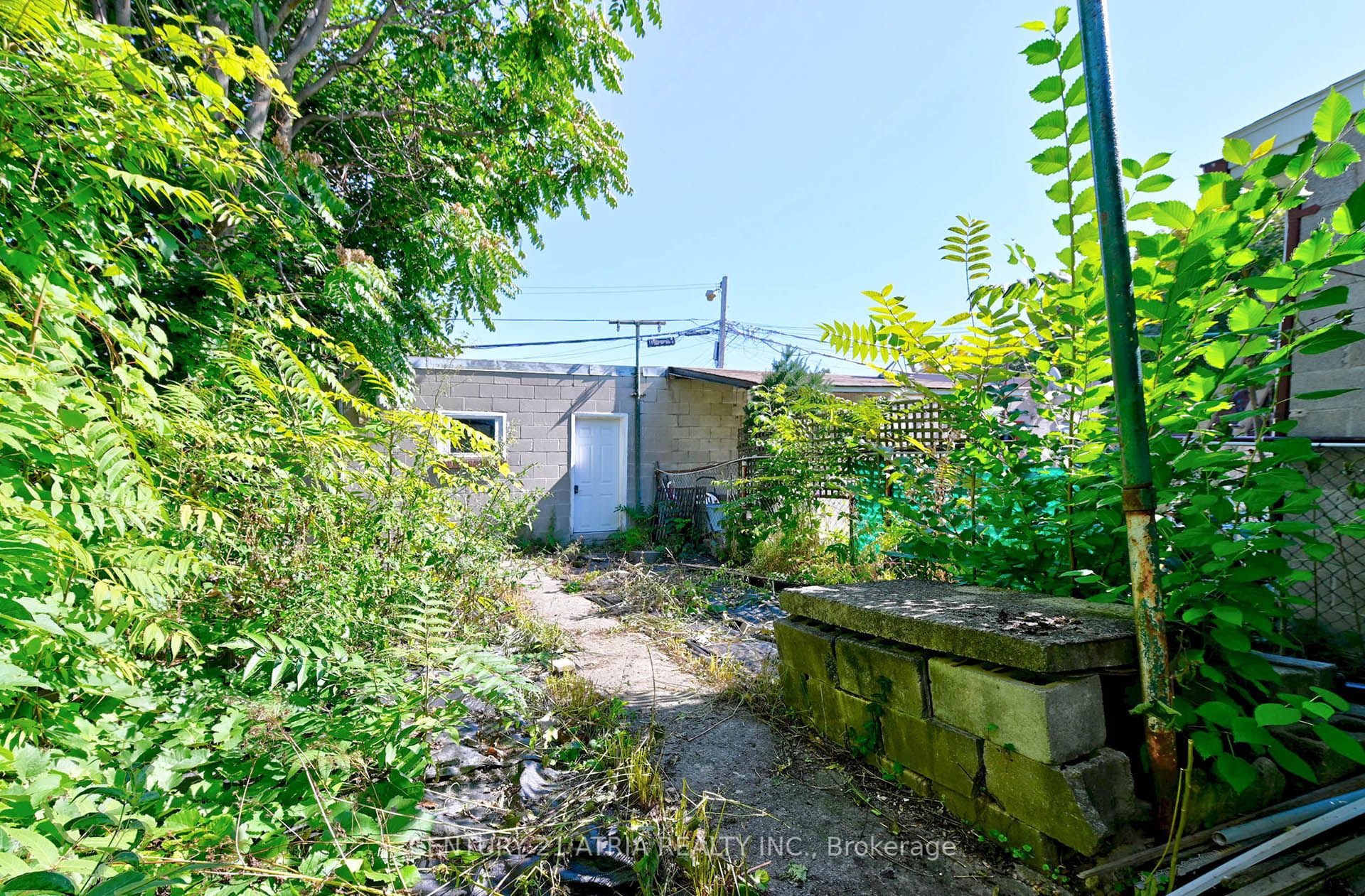 1195 Dovercourt Road Property Photo 24