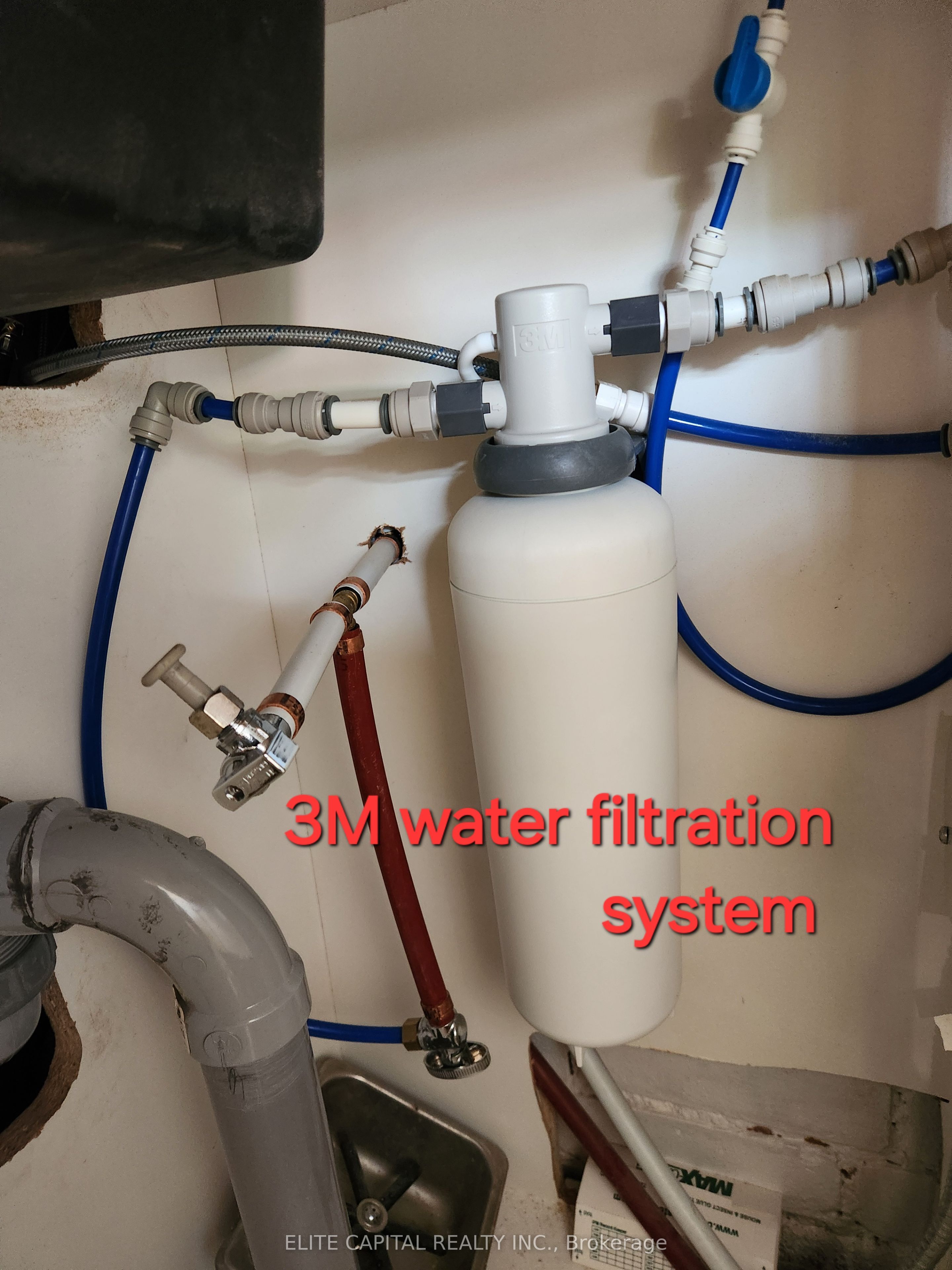 356 College Street Property Photo 22