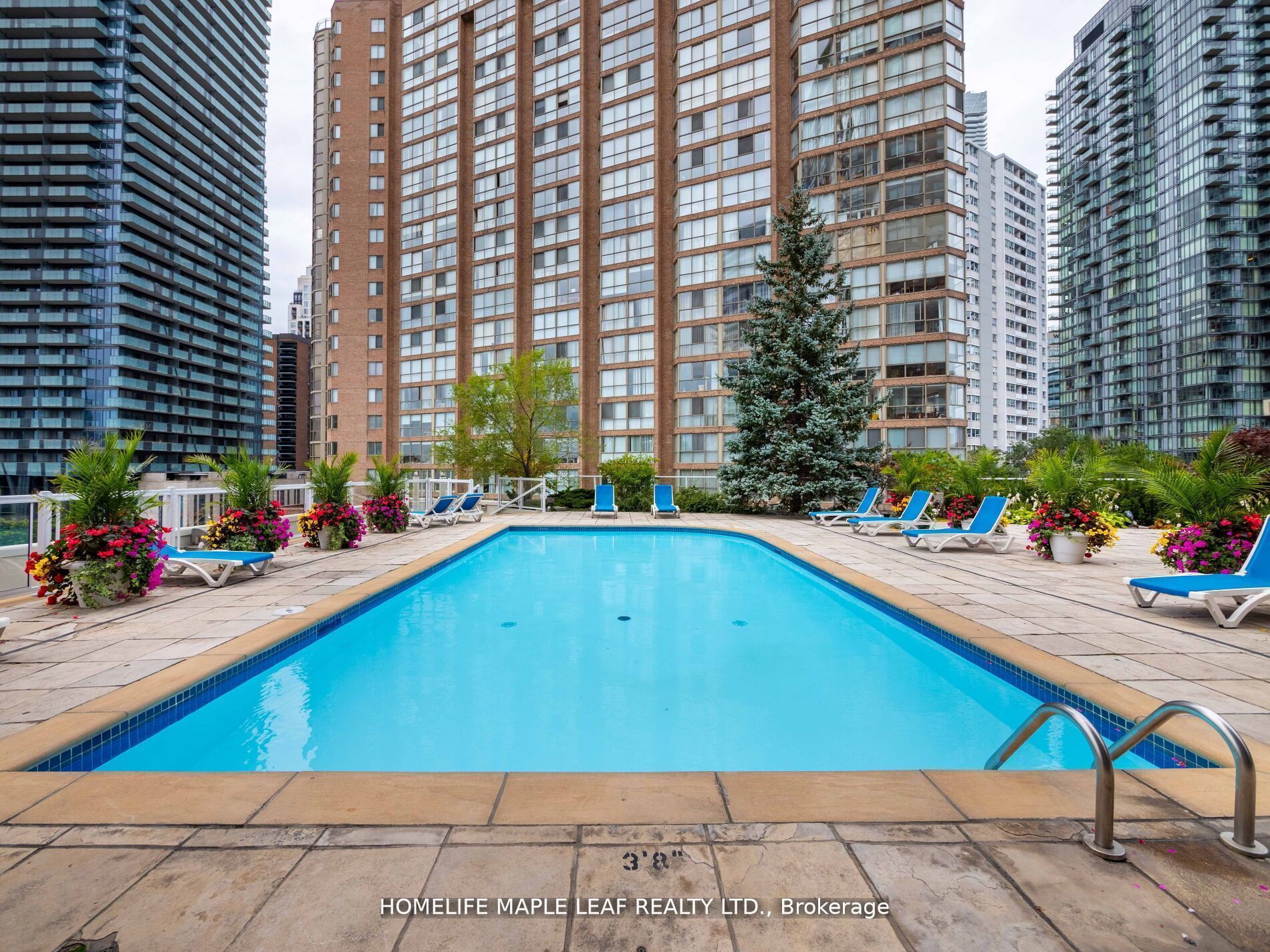 1033 Bay Street 219 Property Photo 36