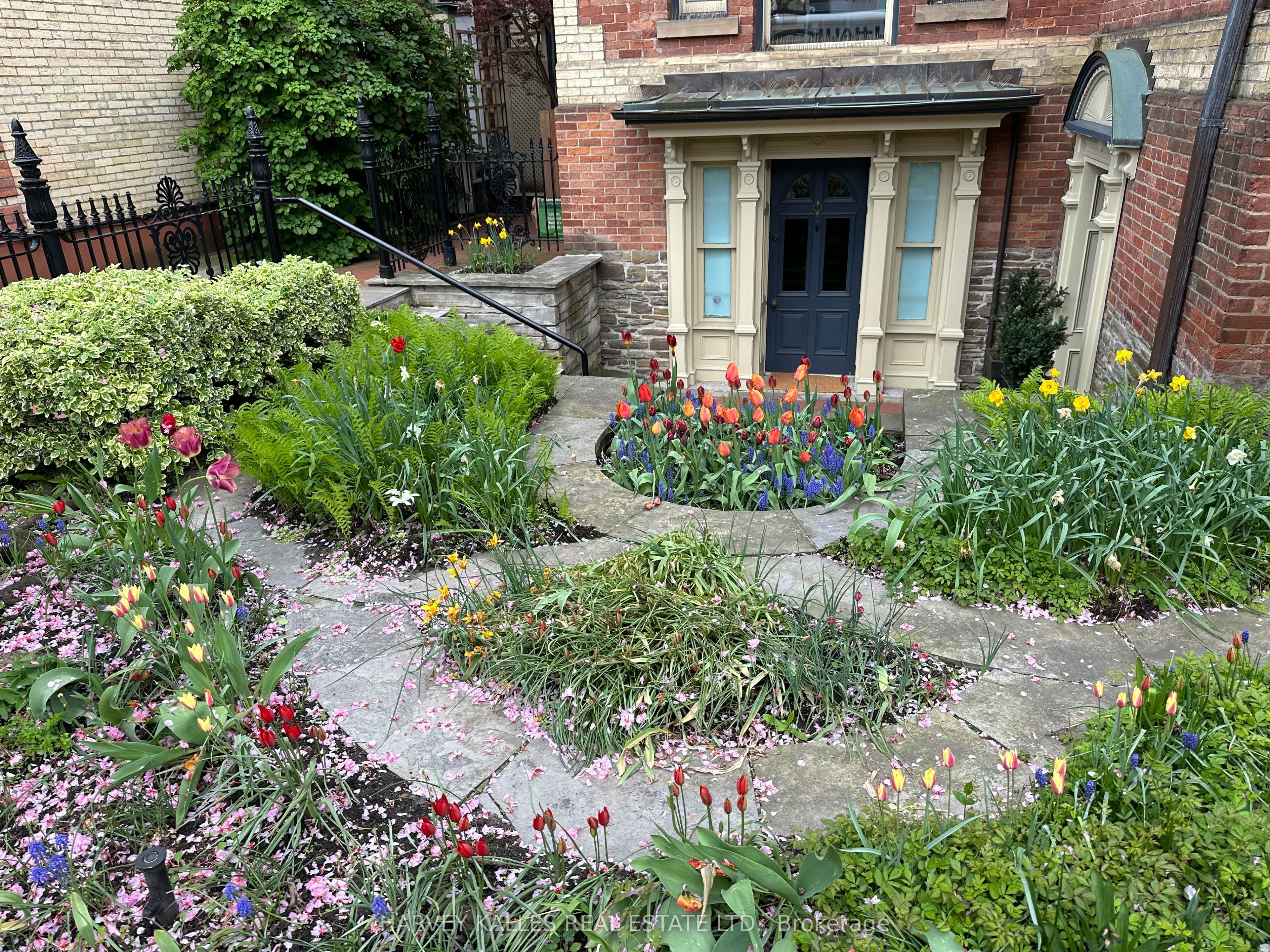 211 Carlton Street Property Photo 16