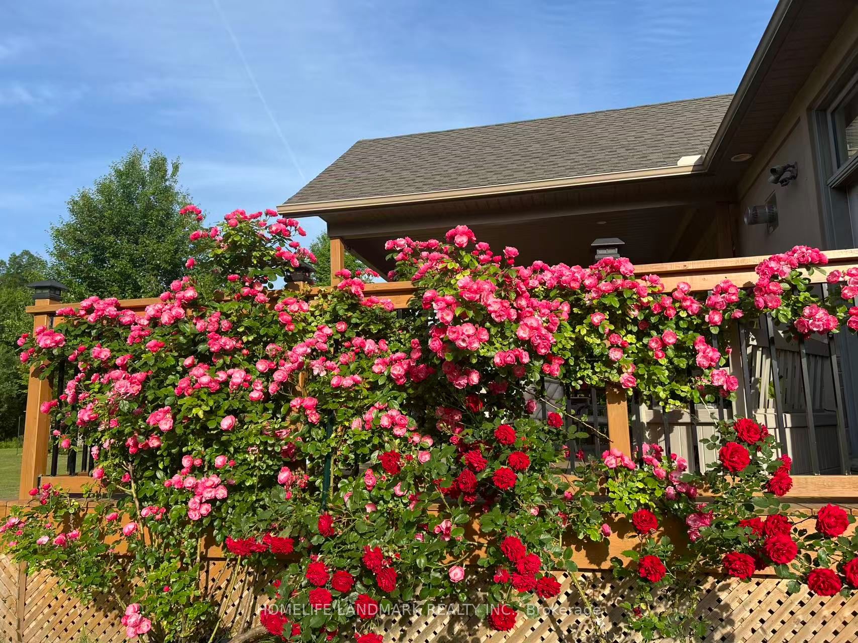 12 Clarinda Drive Property Photo 25