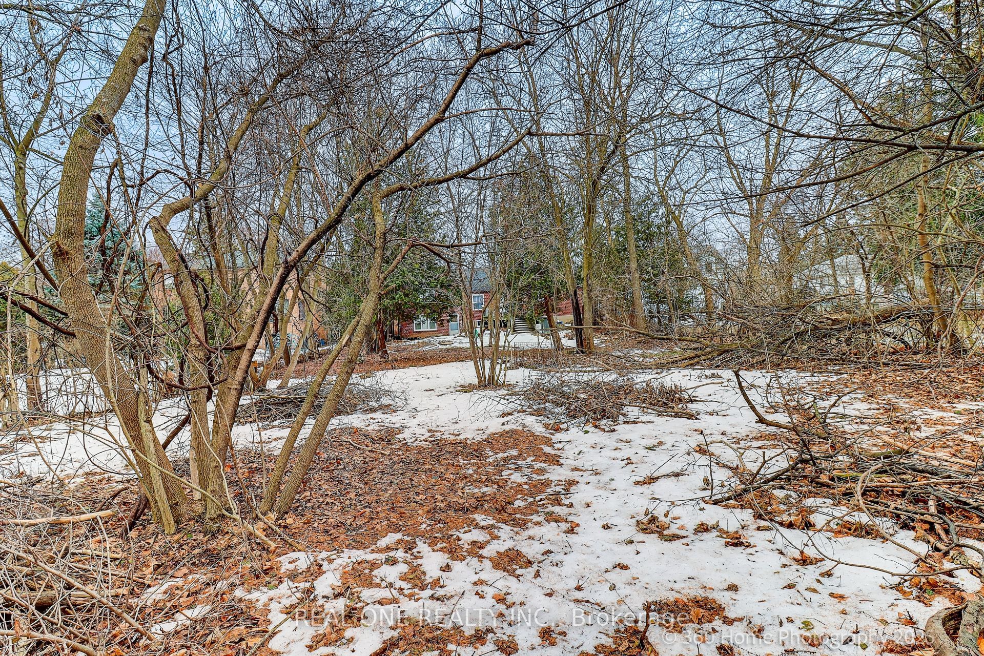 212 Cummer Avenue Property Photo 2