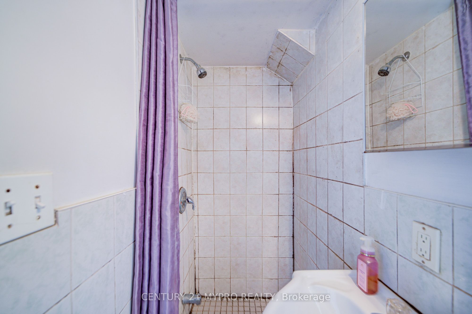 211 Bellwoods Avenue Property Photo 14