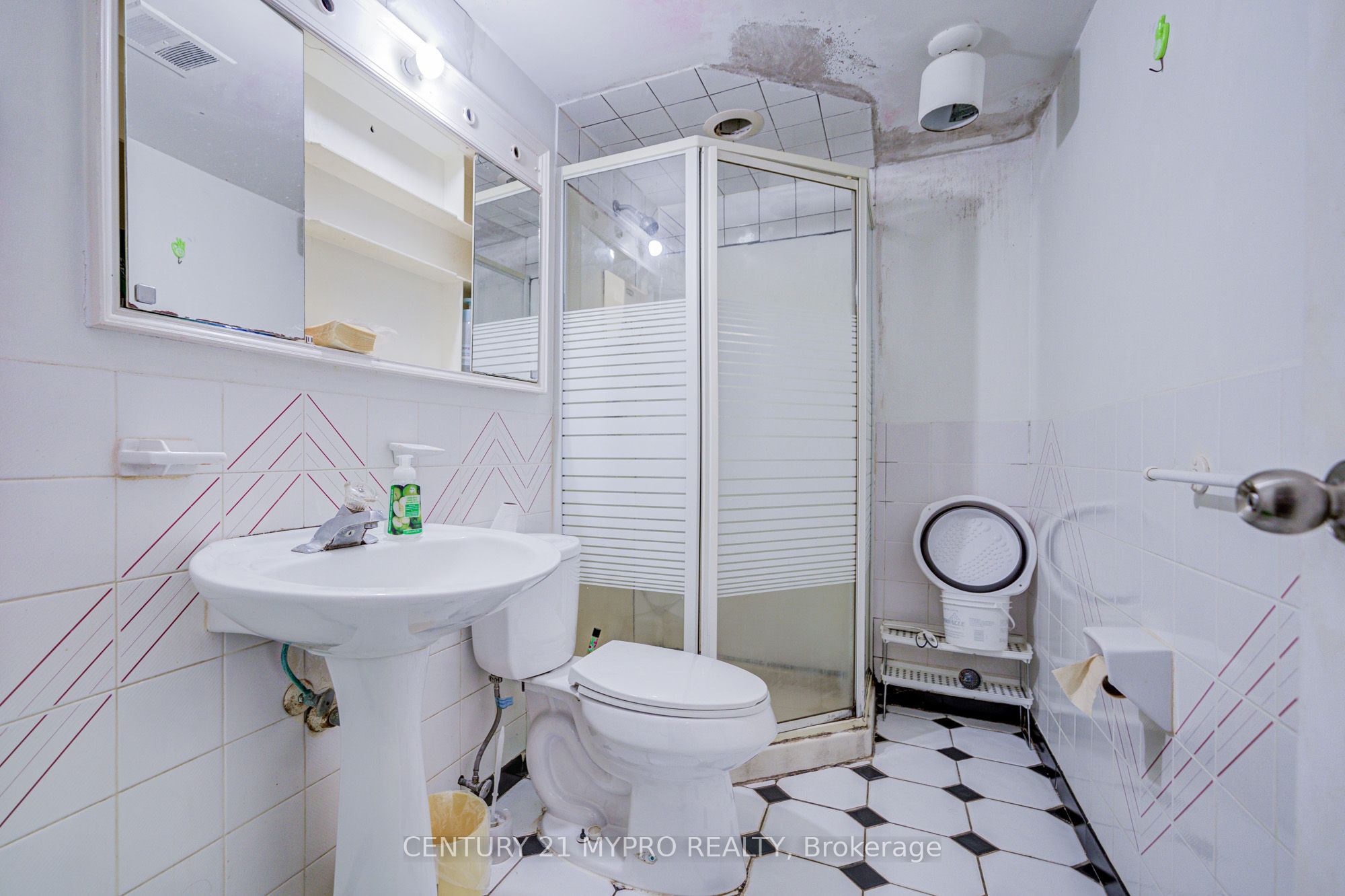 211 Bellwoods Avenue Property Photo 41