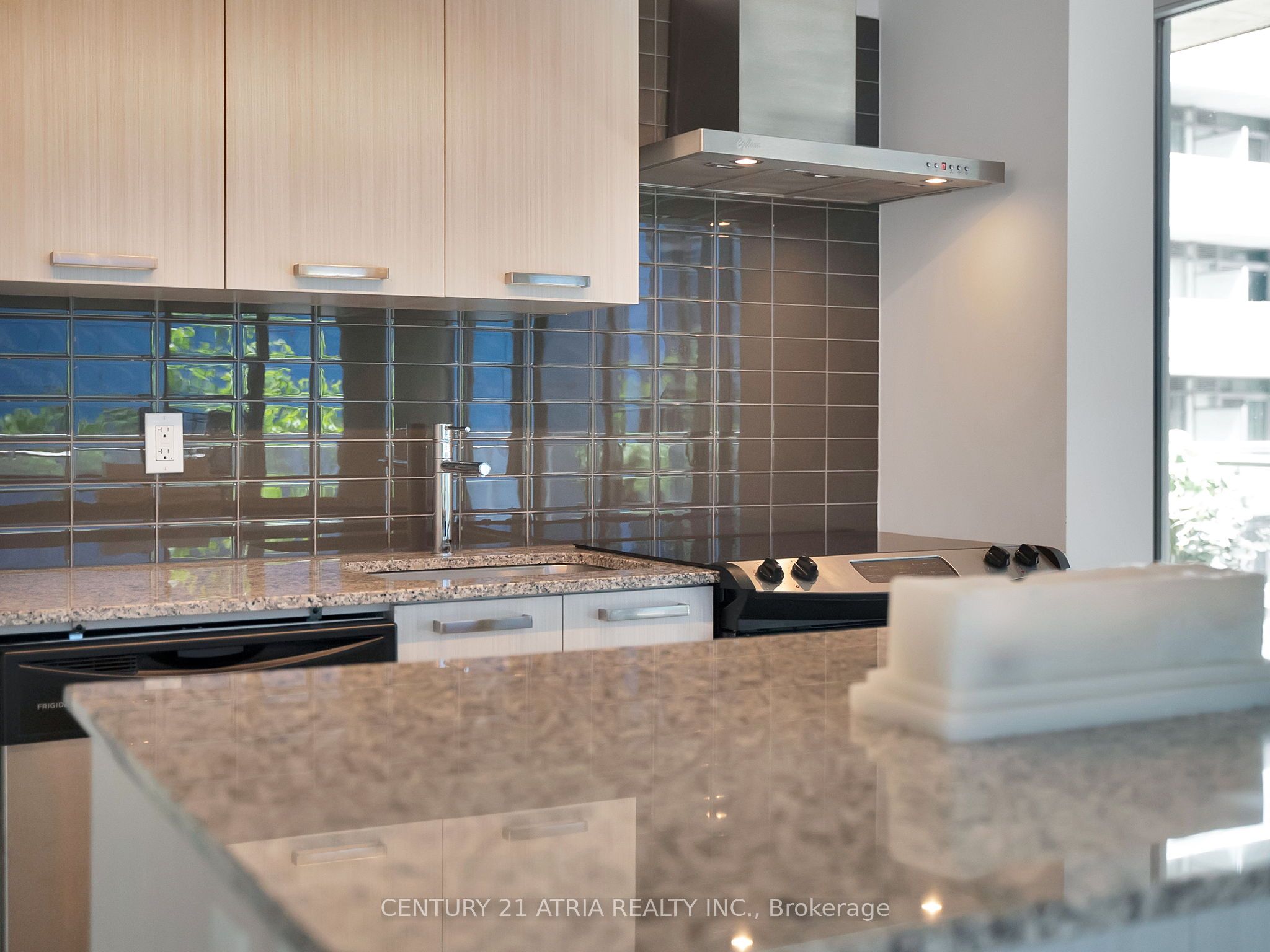 95 Bathurst Street 318 Property Photo 9