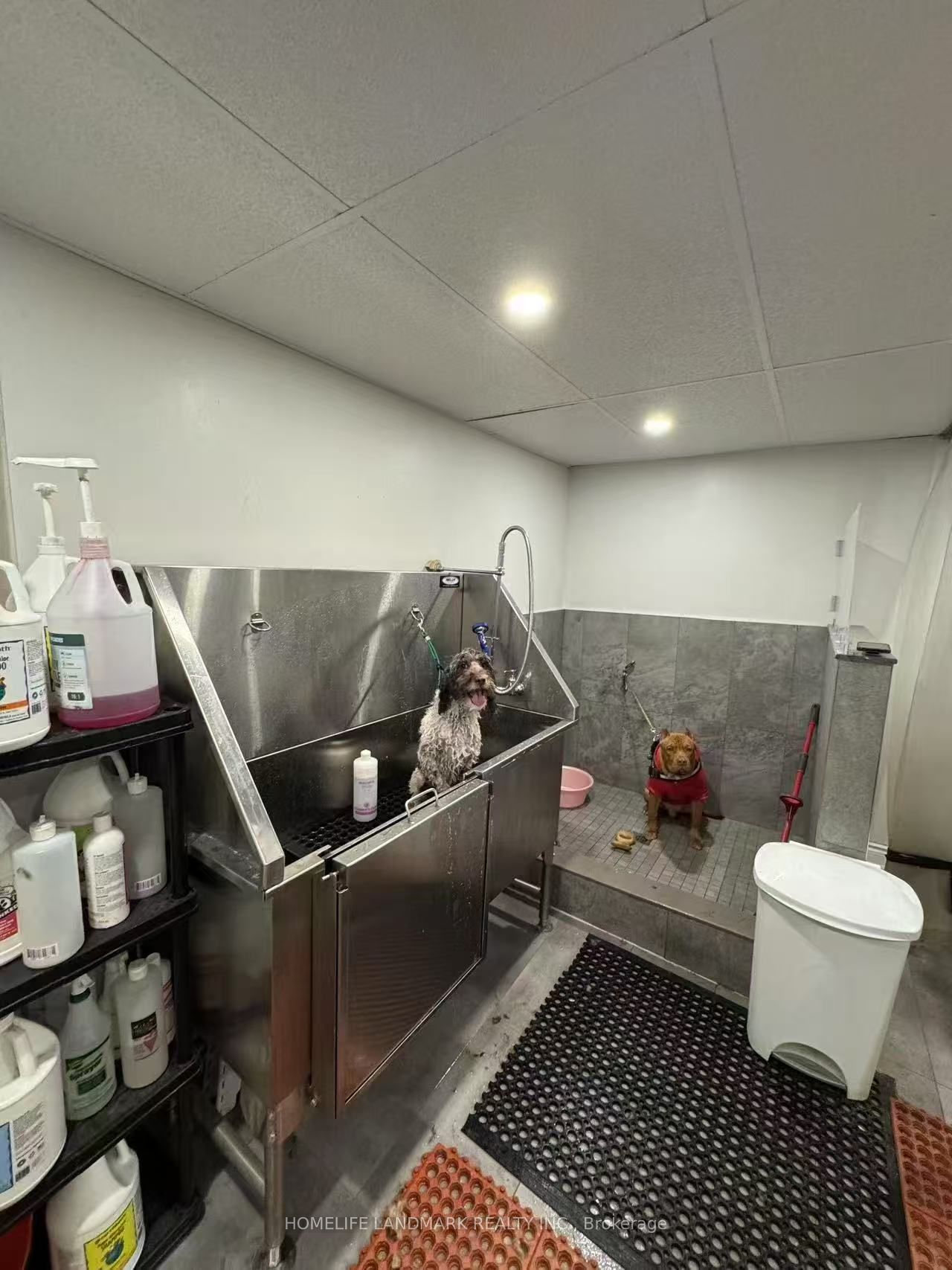 4140 Bathurst Street 4136 Property Photo 6