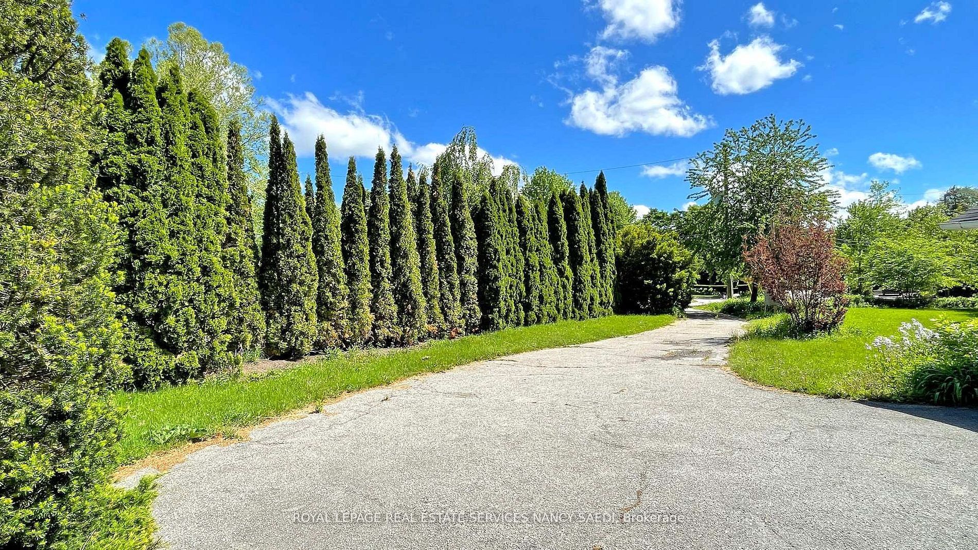 78 Arjay Crescent Property Photo 8