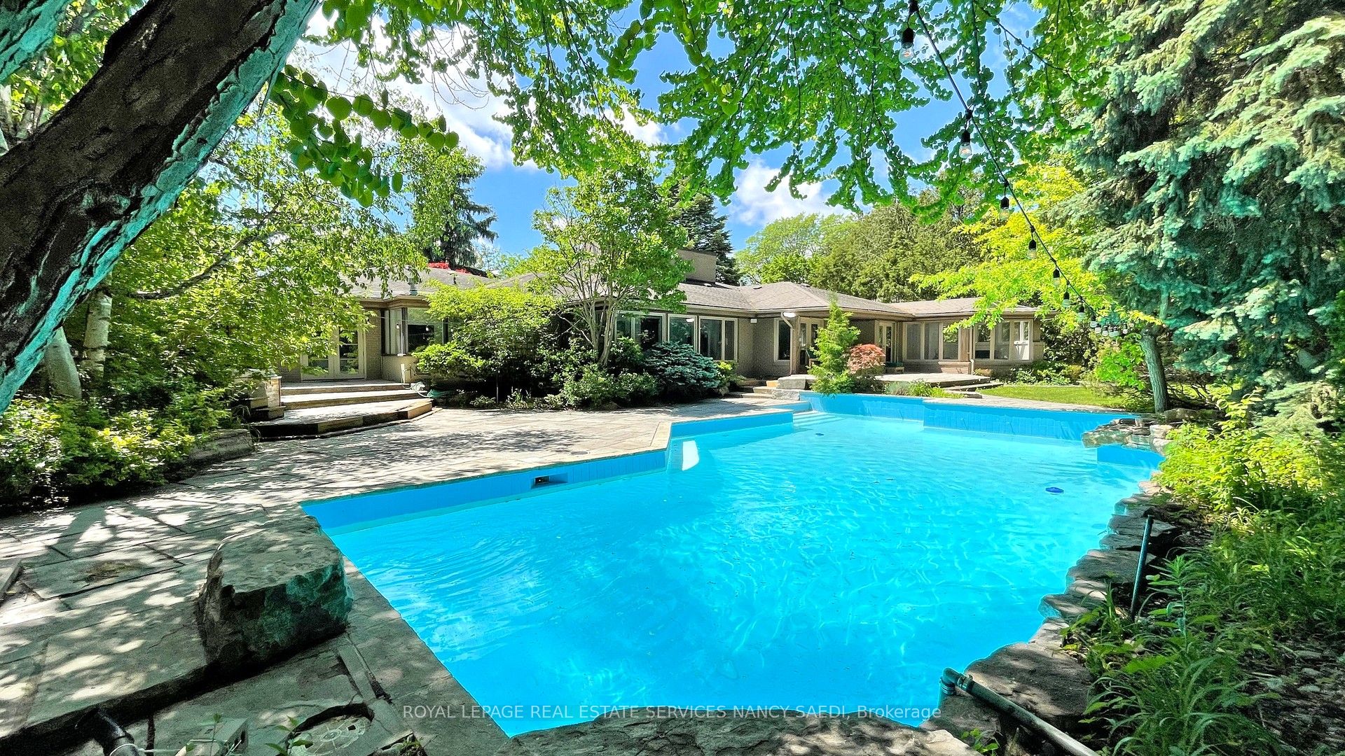 62 Wimpole Drive