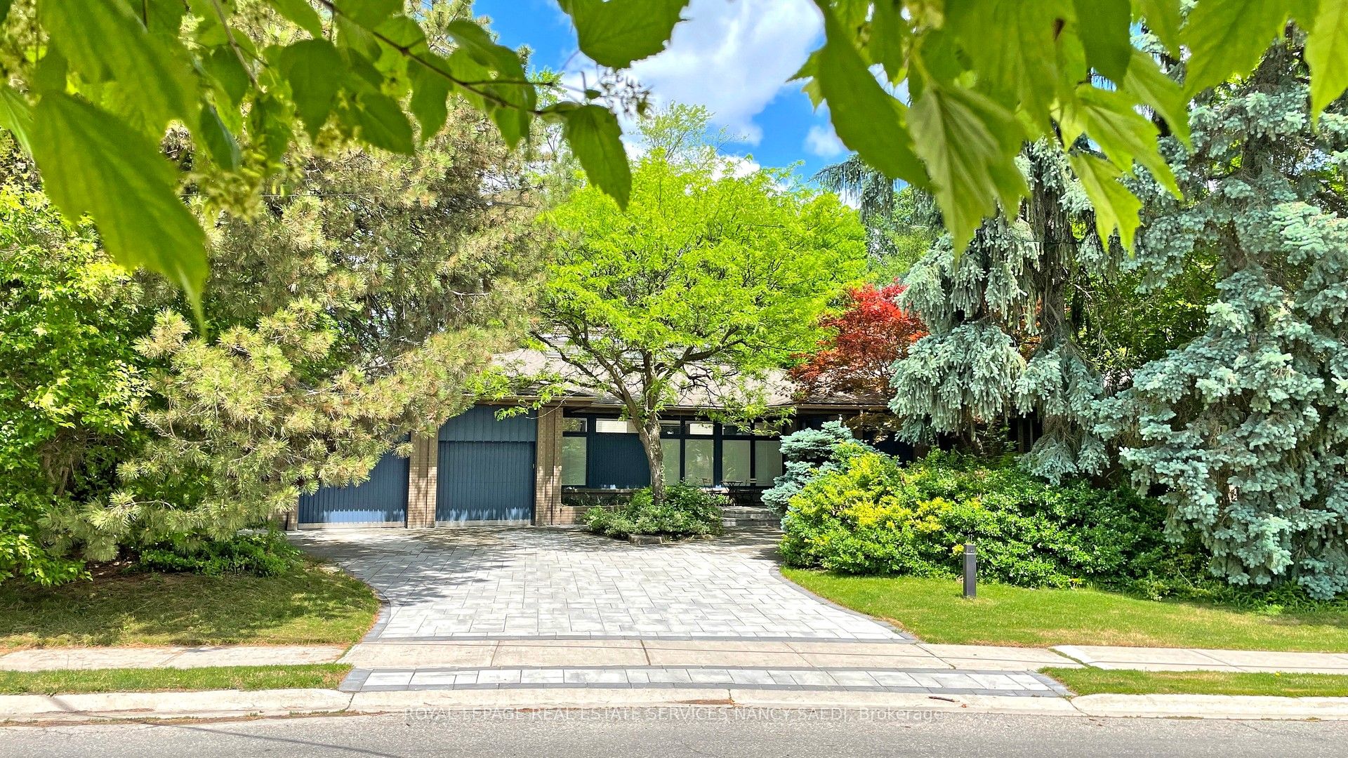 62 Wimpole Drive Property Photo 4