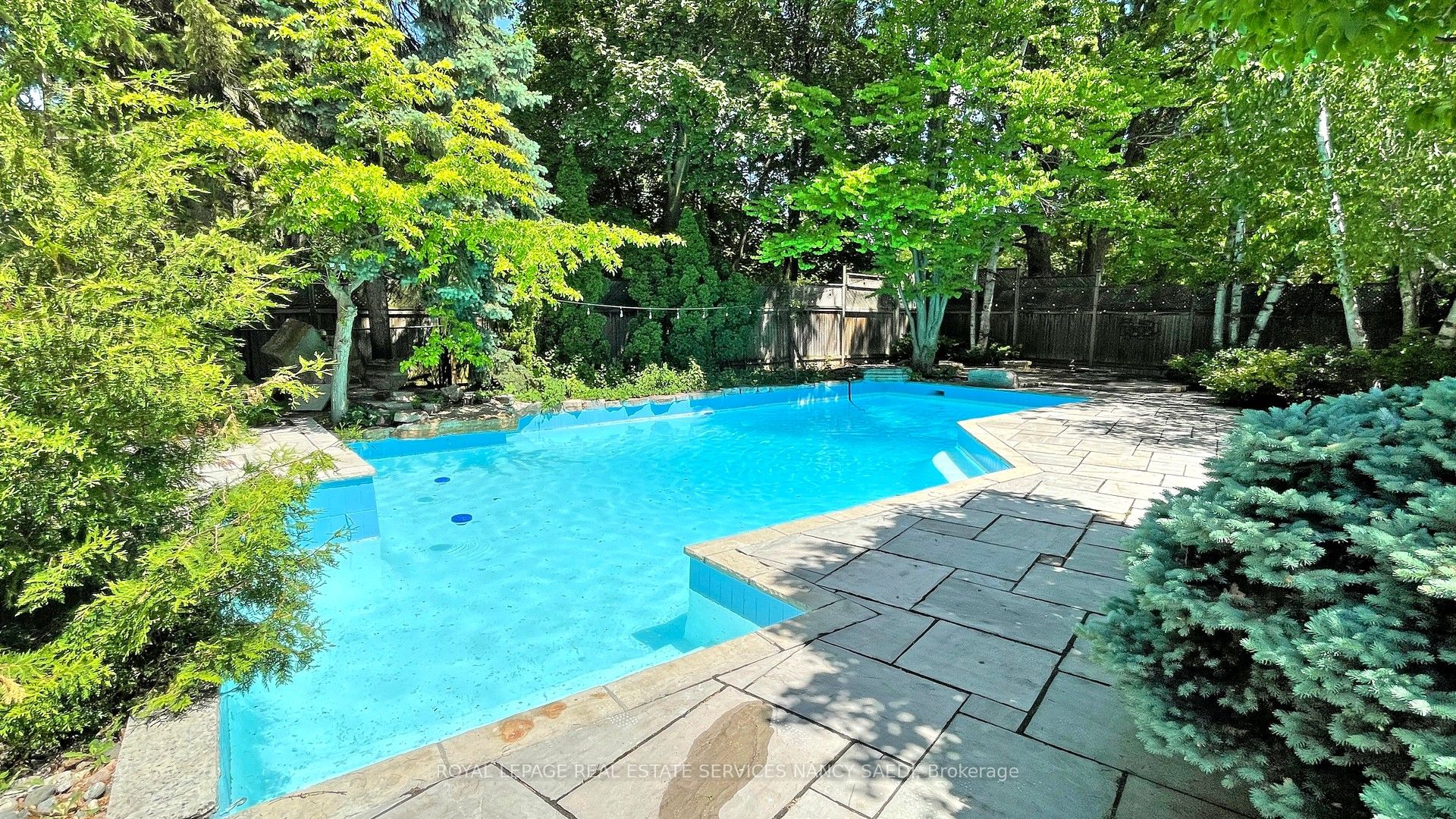 62 Wimpole Drive Property Photo 43