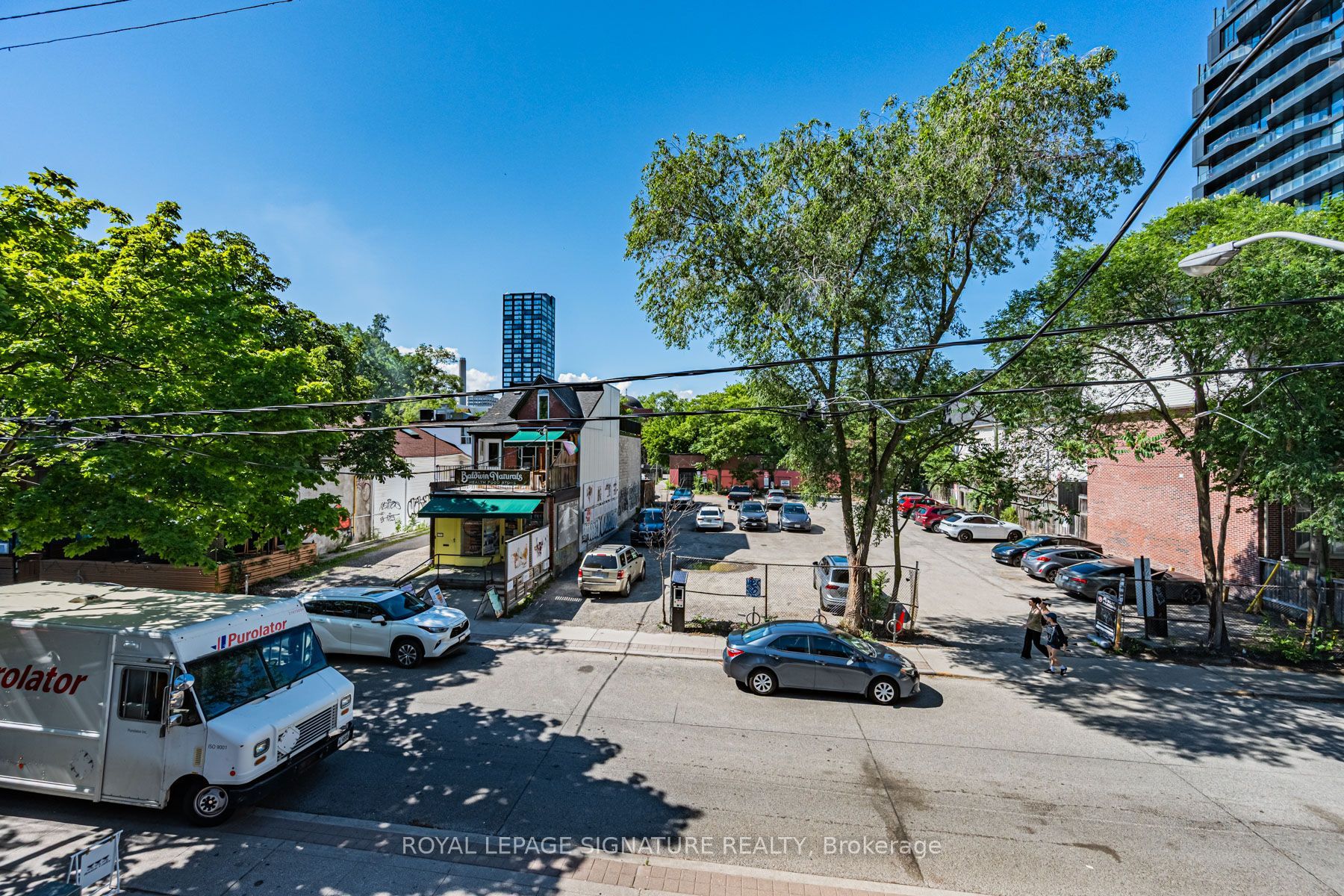 13 Baldwin Street Property Photo 26