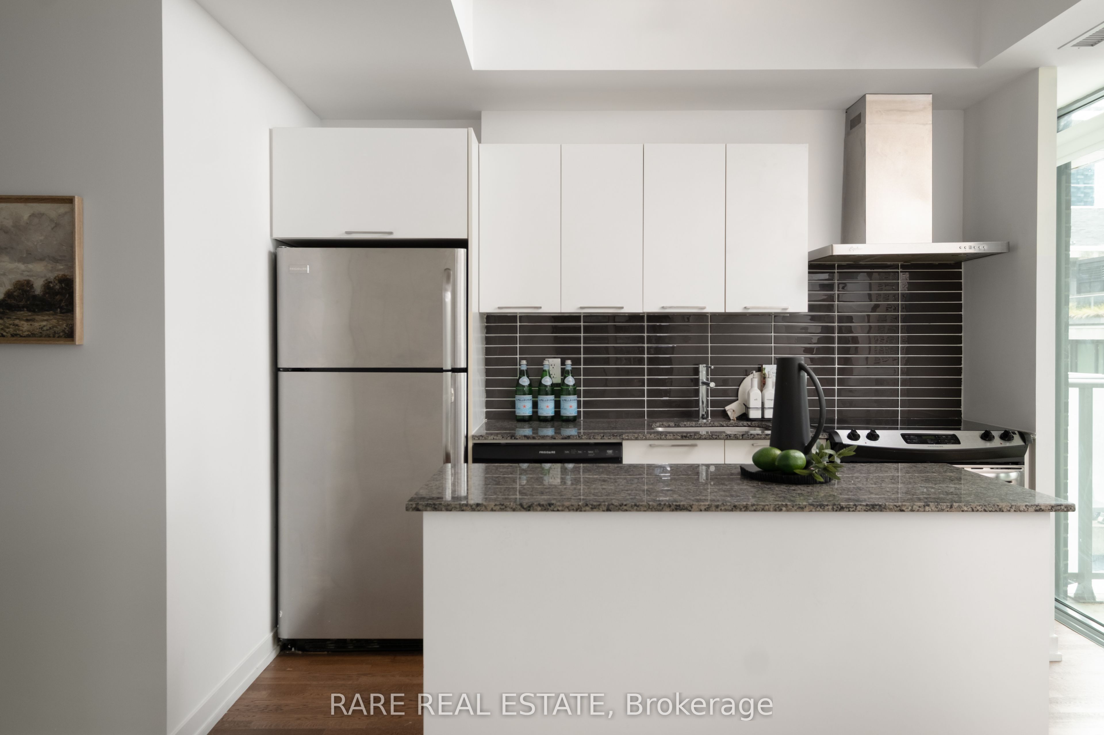 95 Bathurst Street 919 Property Photo 16