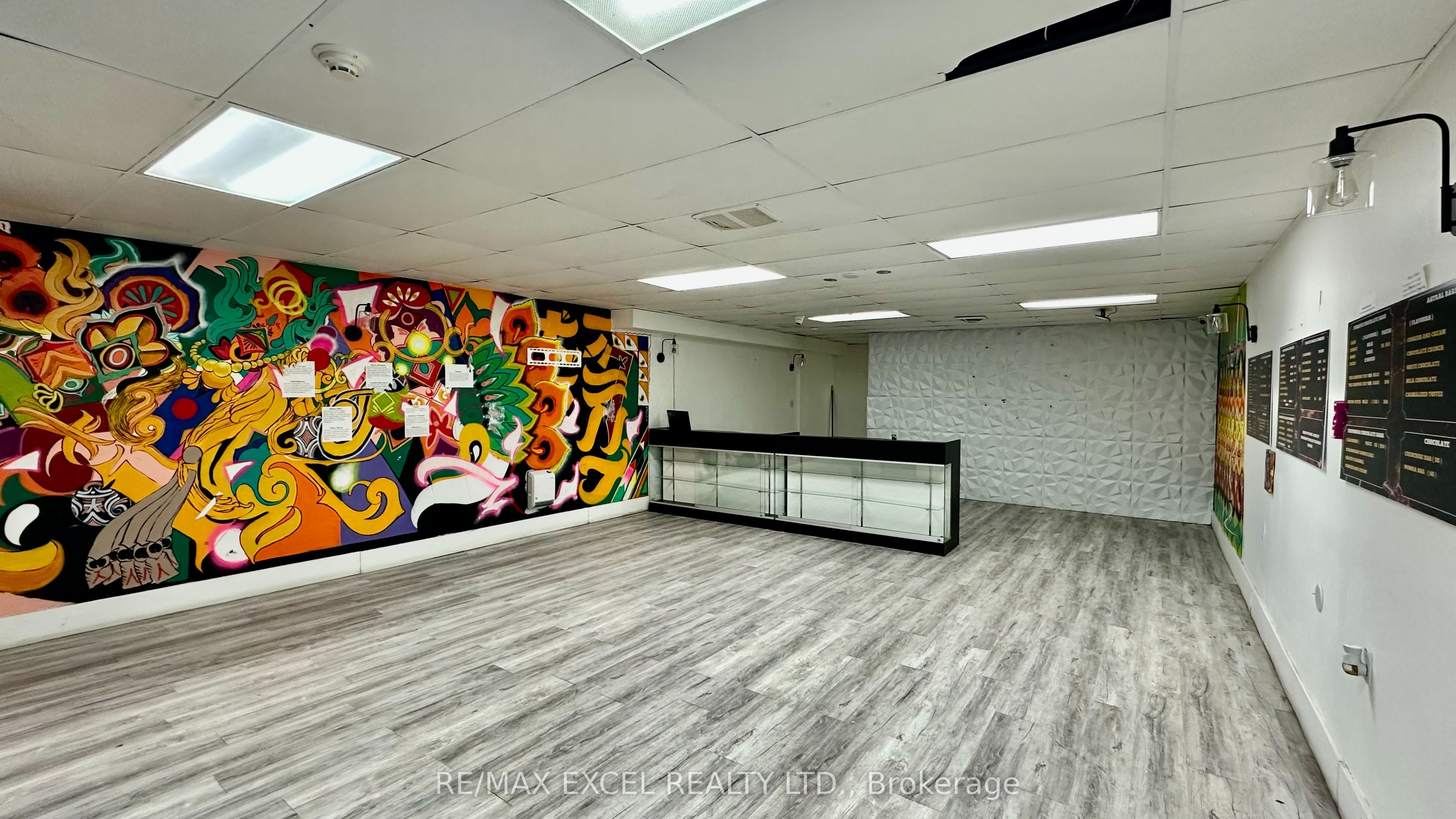 357 Spadina Avenue Lower Property Photo 2