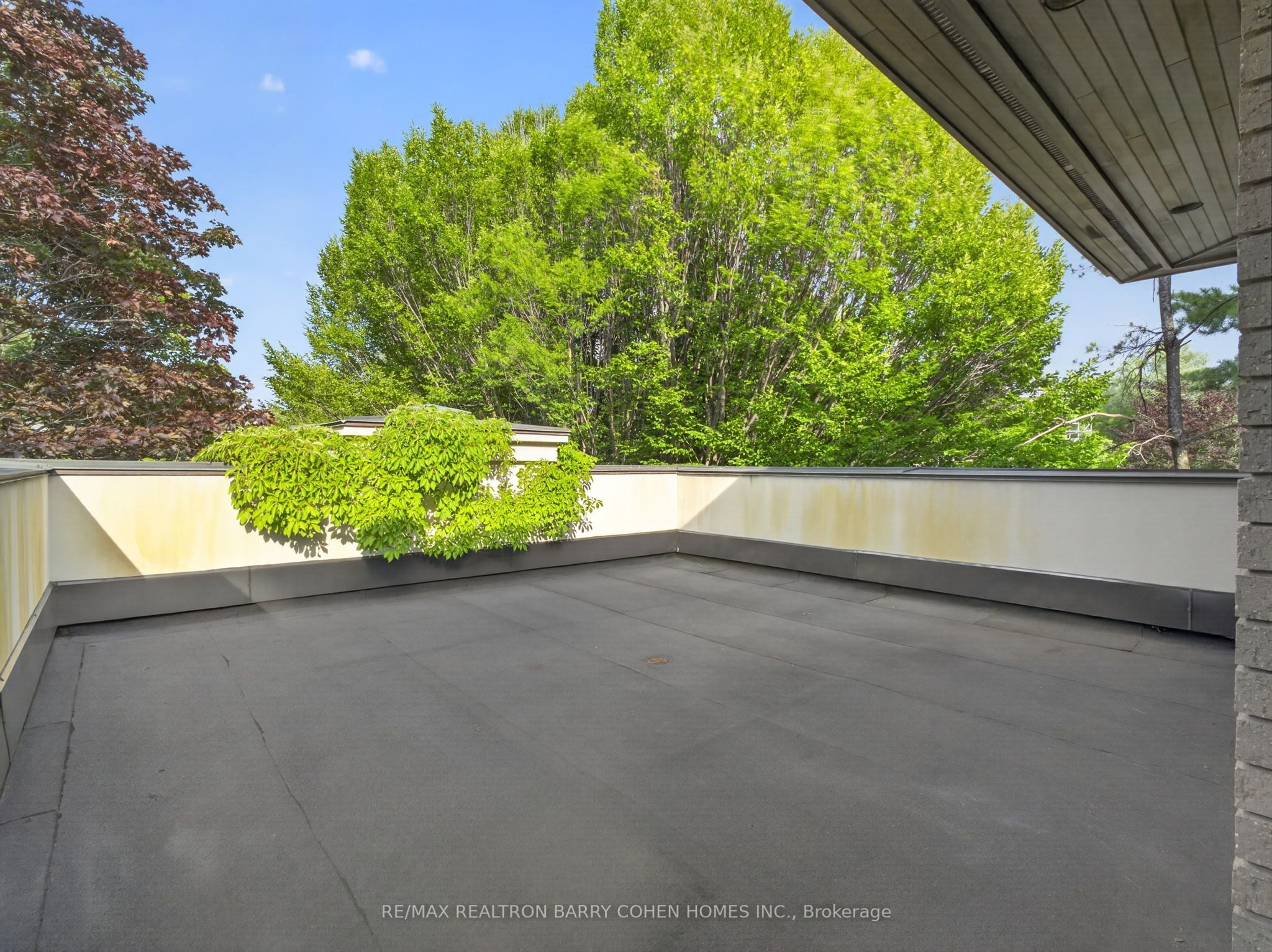 17 Alderbrook Drive Property Photo 33