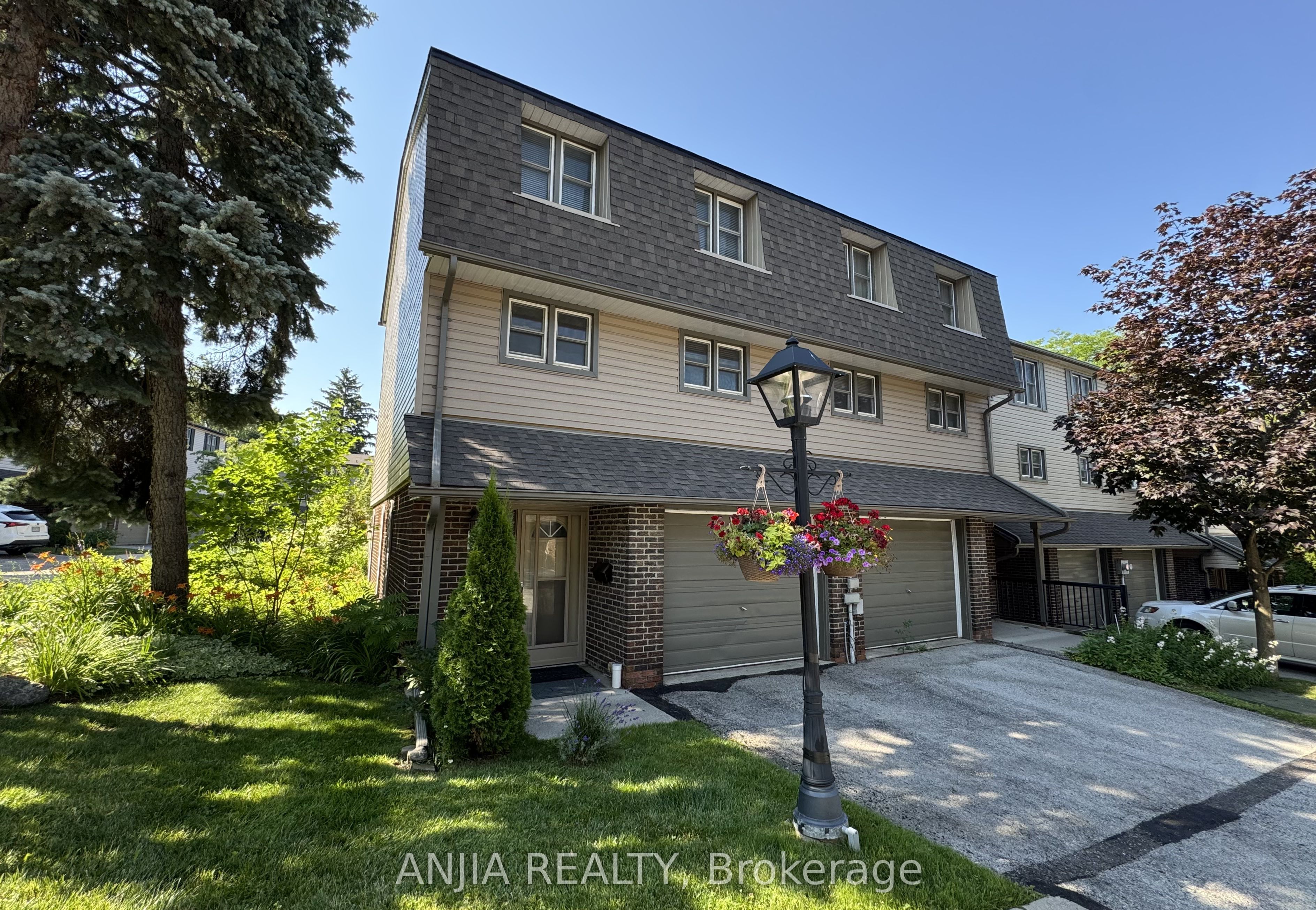 7 Purple Sageway