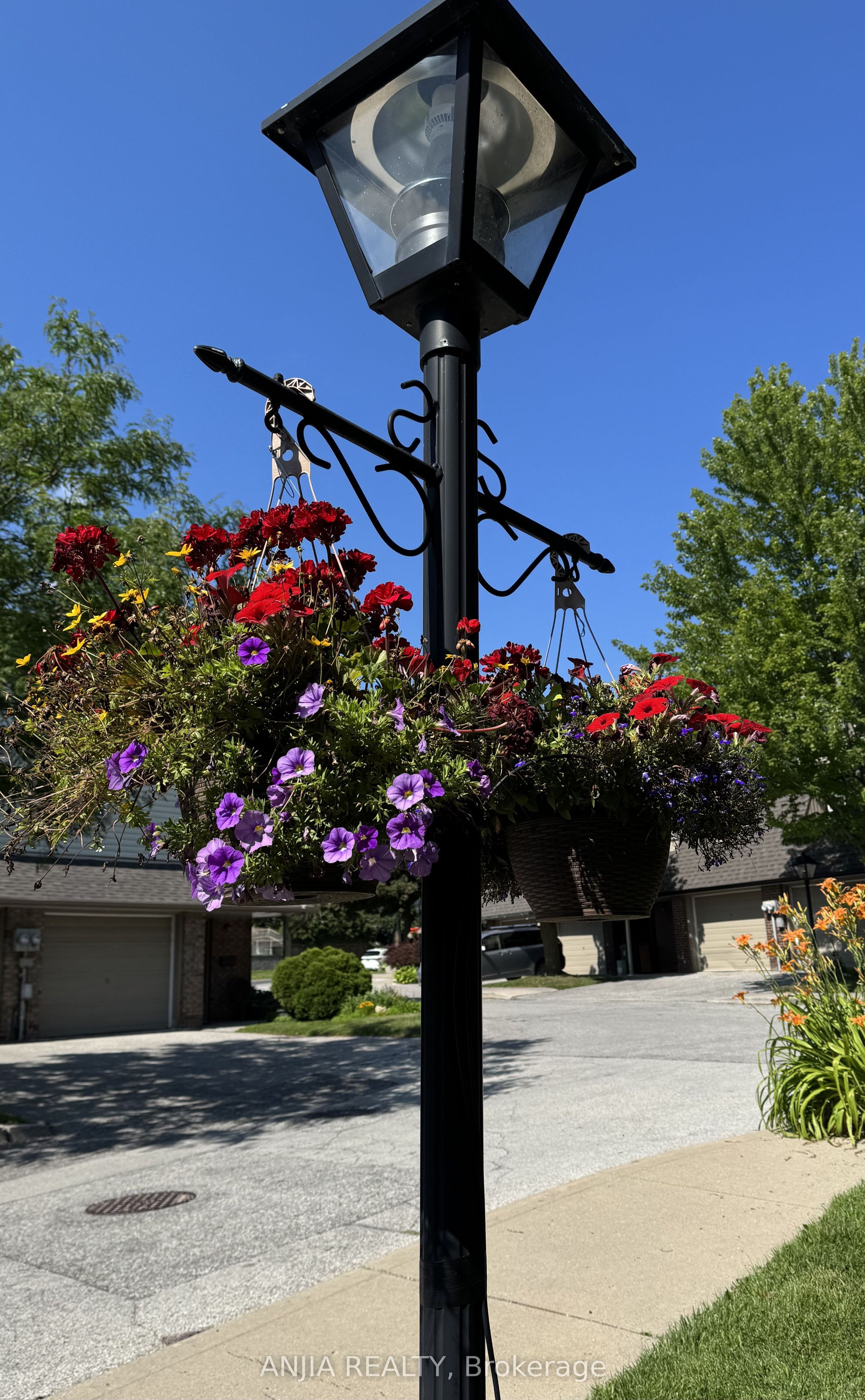 7 Purple Sageway Property Photo 2