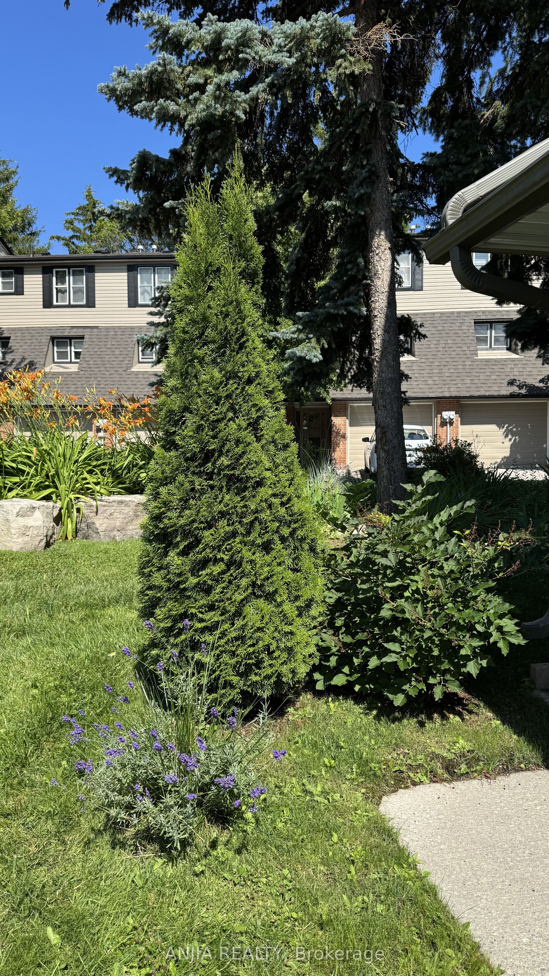 7 Purple Sageway Property Photo 43