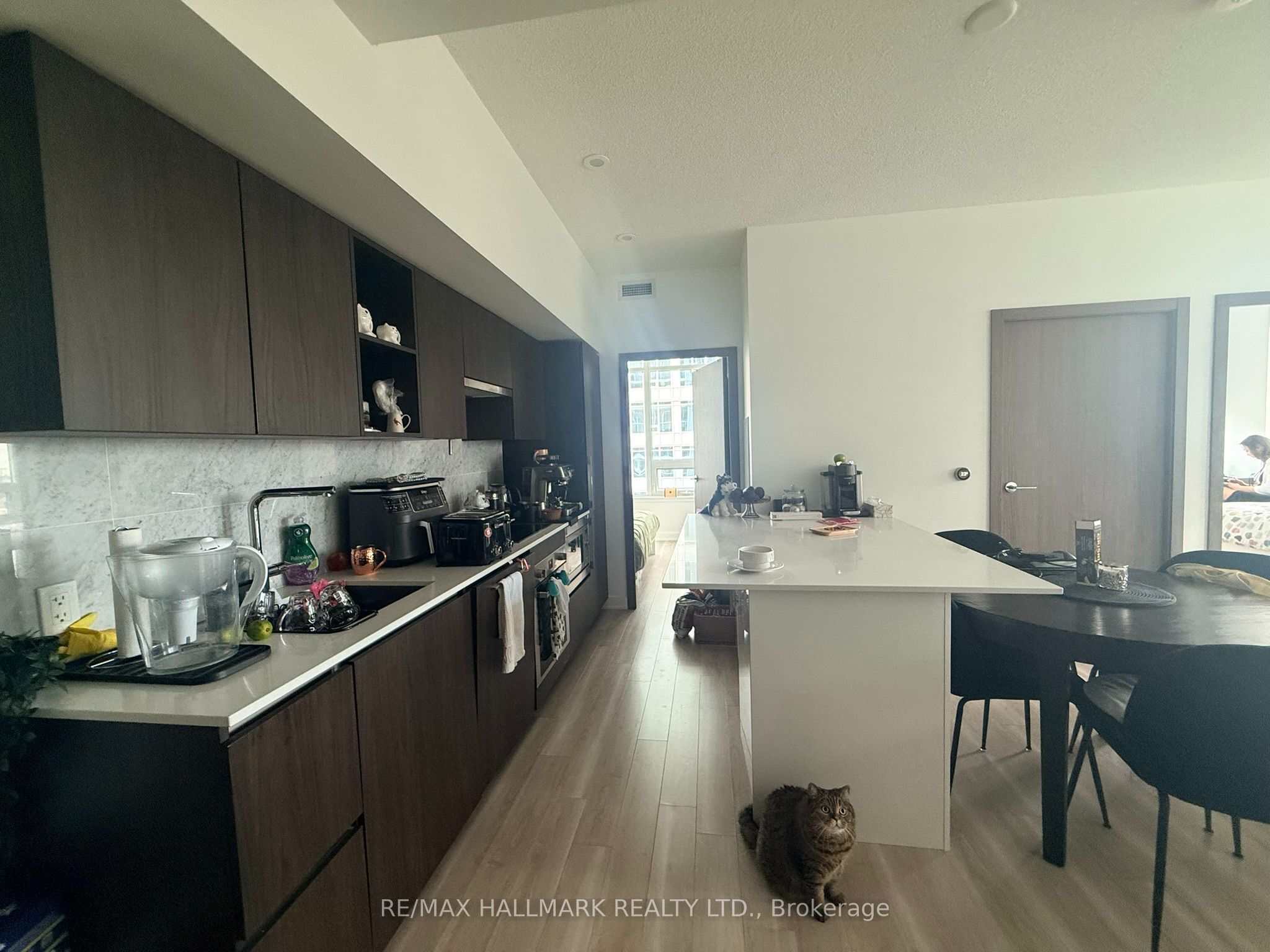17 Bathurst Street 3206 Property Photo 12