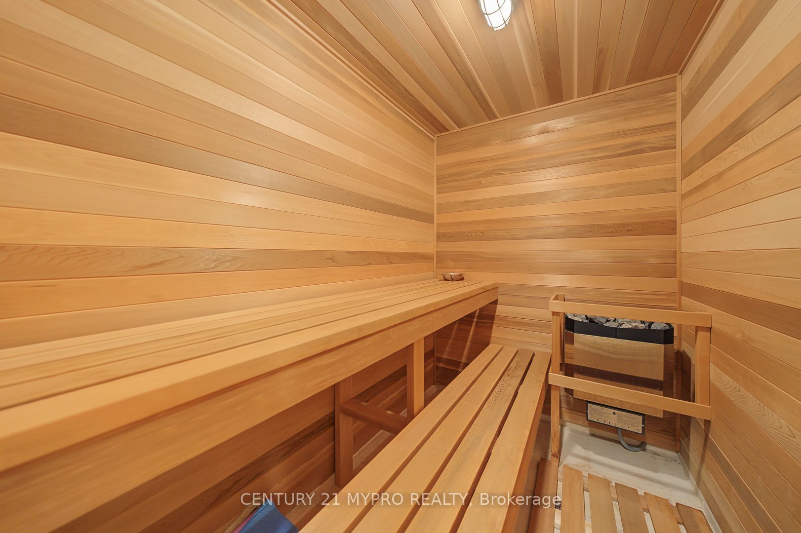 5 Saintfield Avenue Property Photo 19
