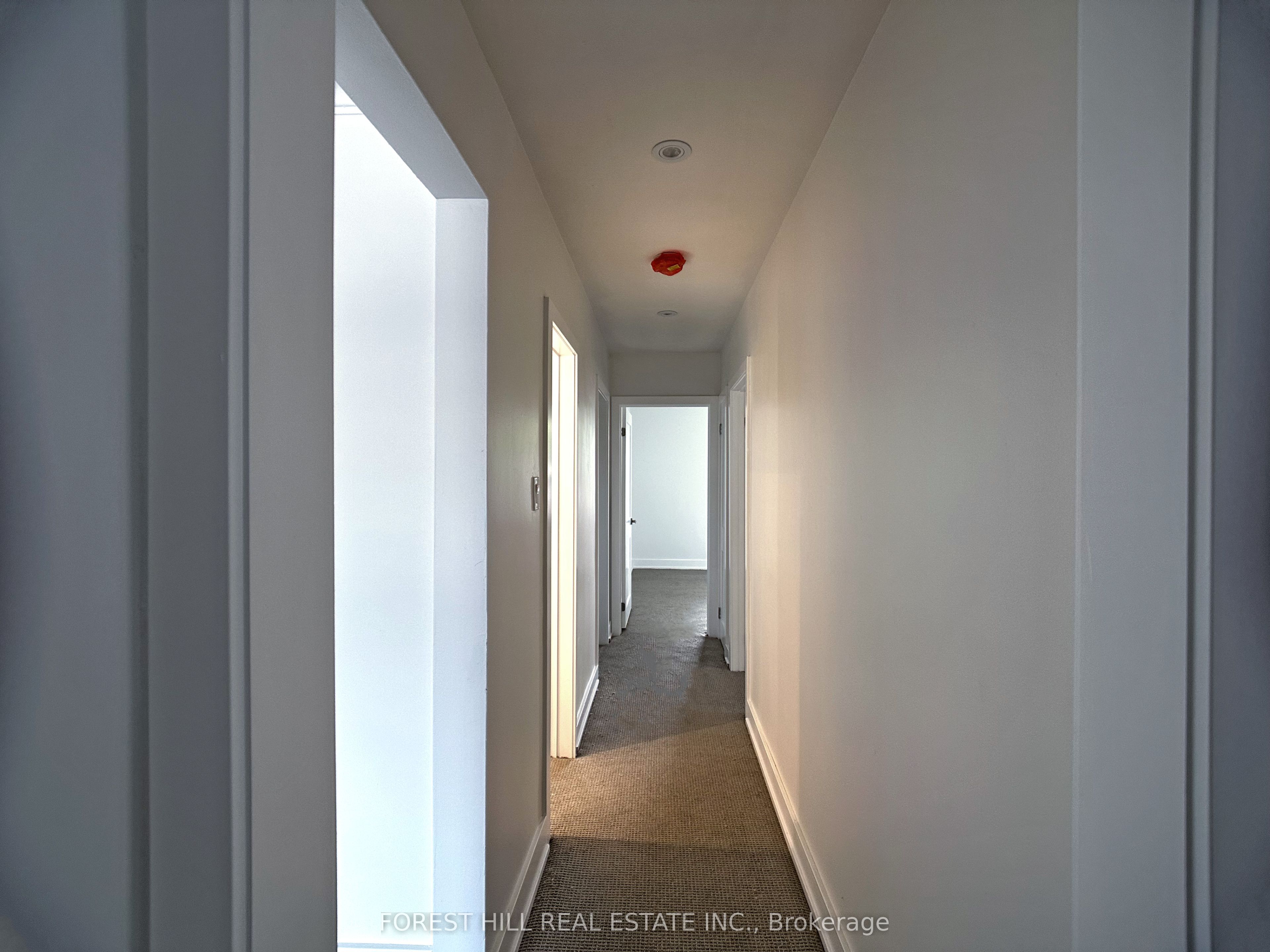 443 Wilson Avenue #2 Property Photo 9