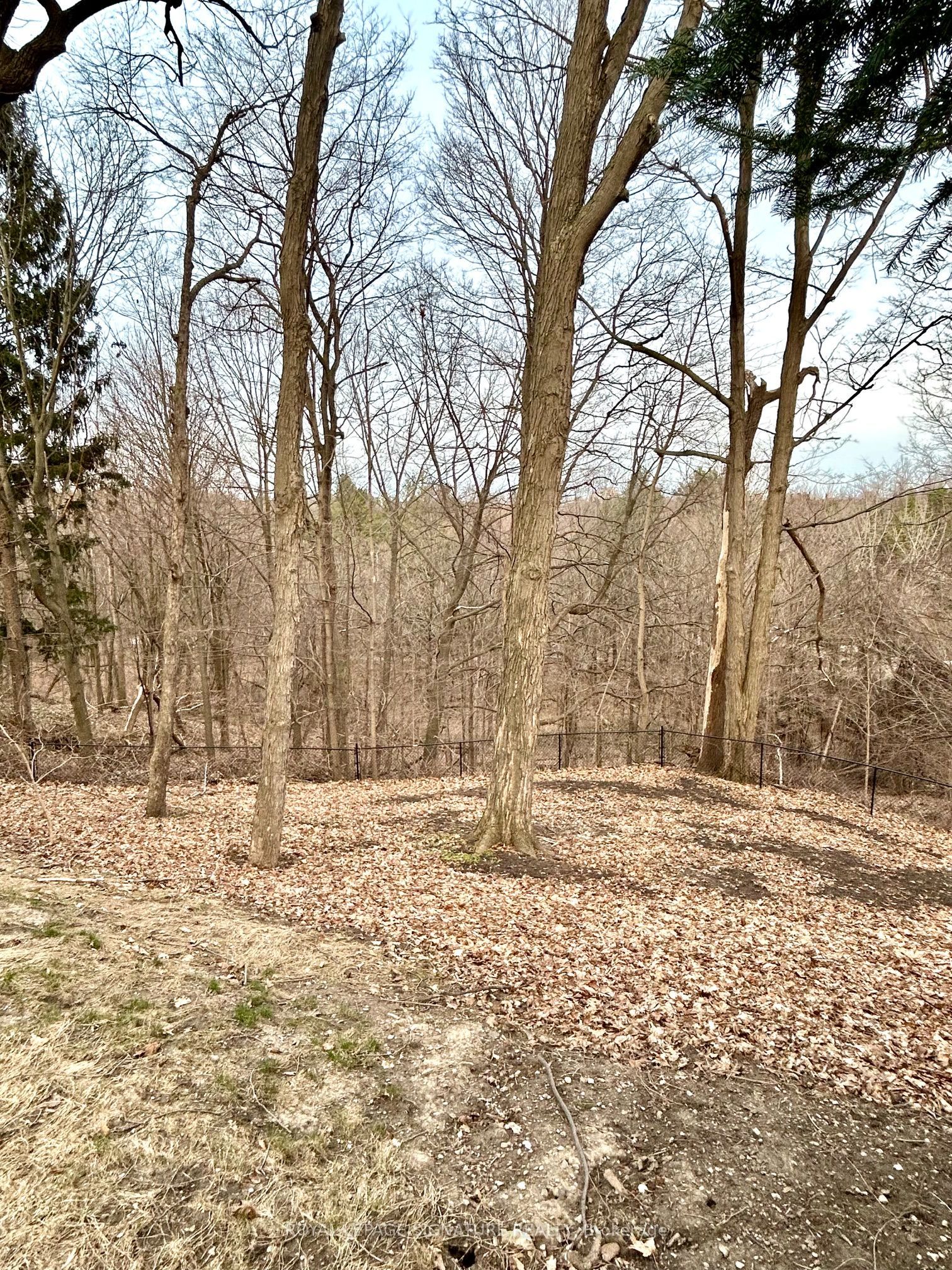 15 Sulkara Court Property Photo 35
