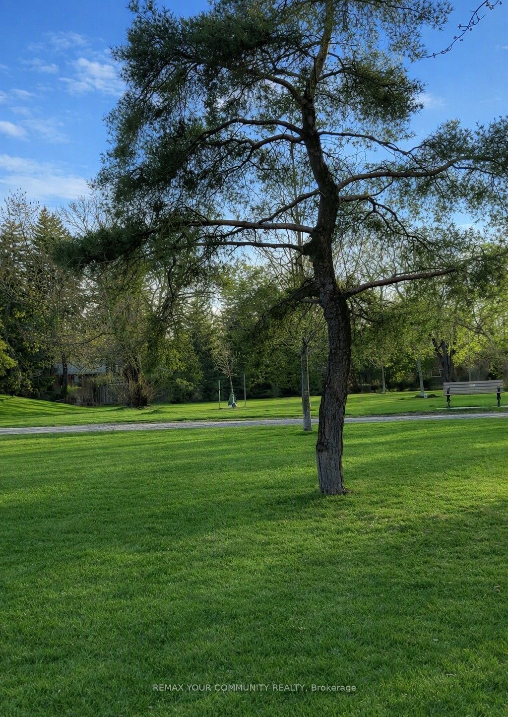 98 Wigmore Drive Property Photo 17
